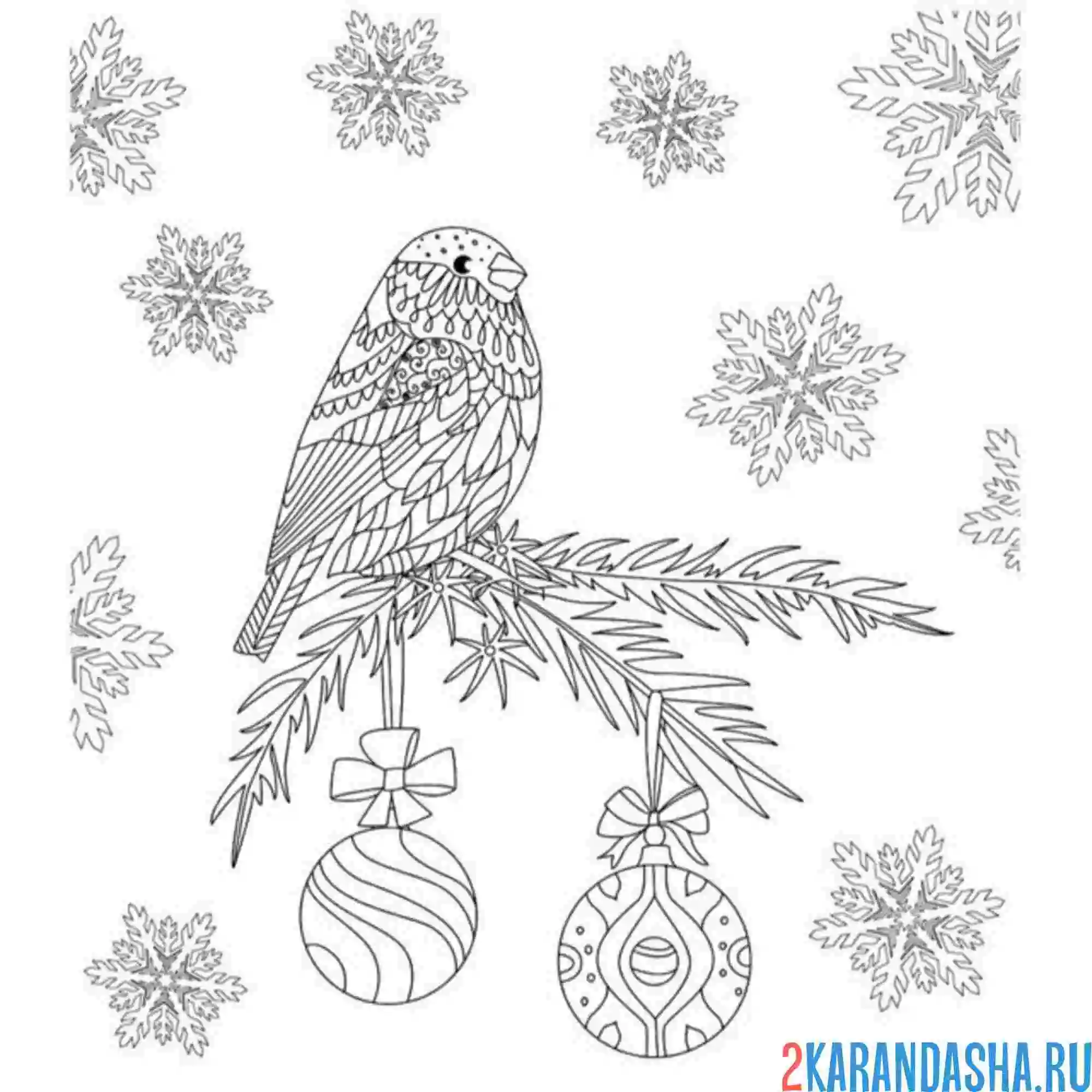 Раскраска снегирь антистресс