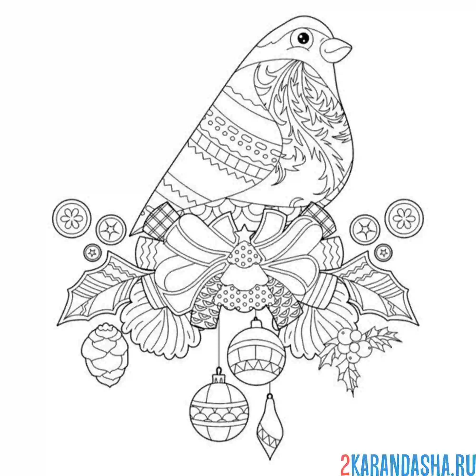 Раскраска антистресс снегирь