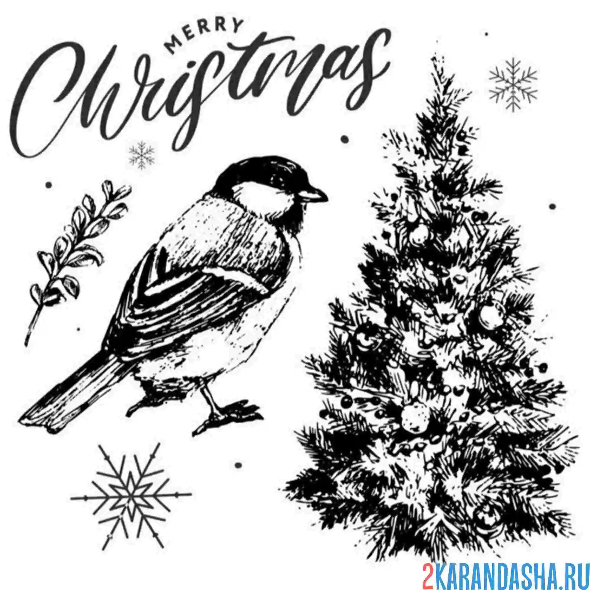 Раскраска синичка елка