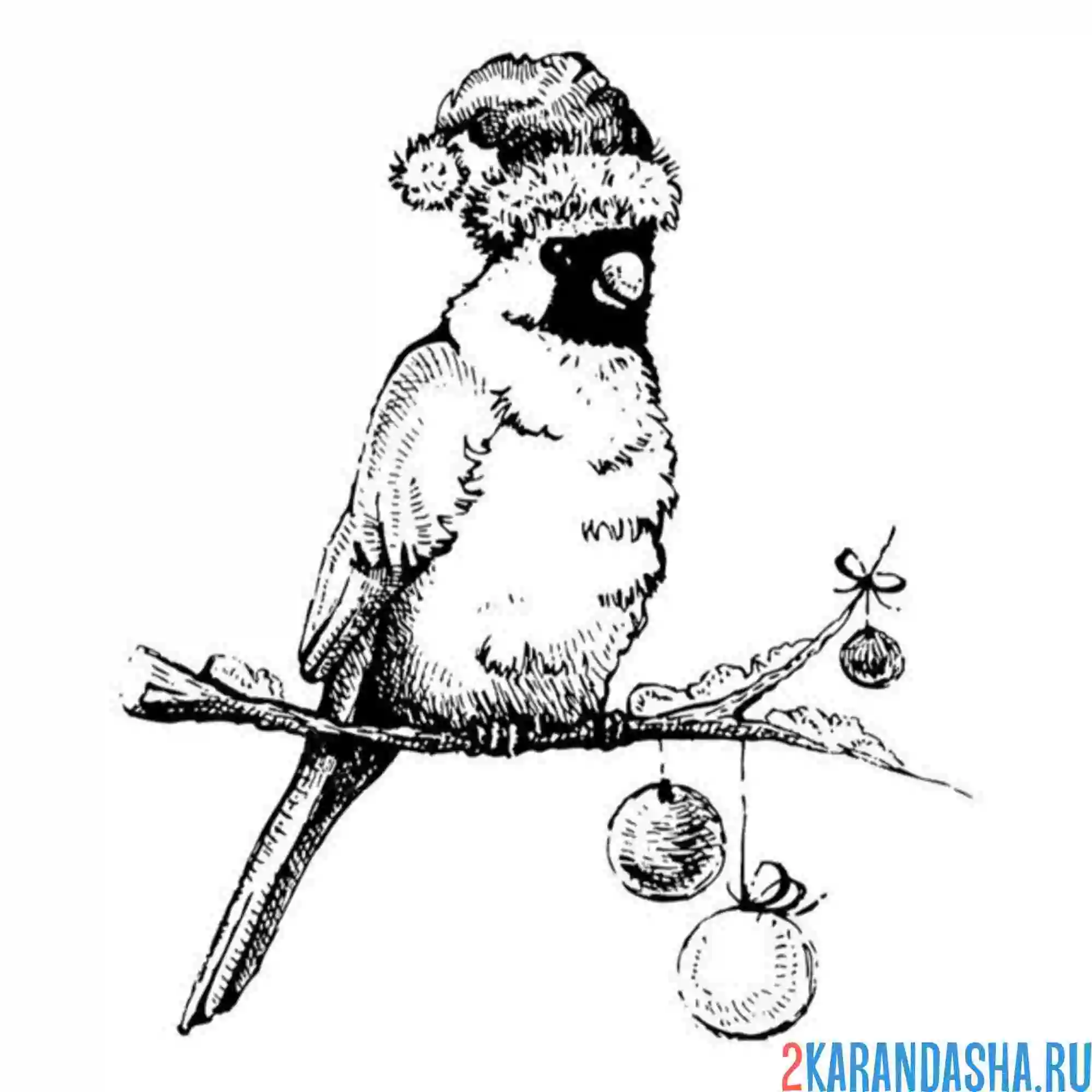 Раскраска новогодний снегирь