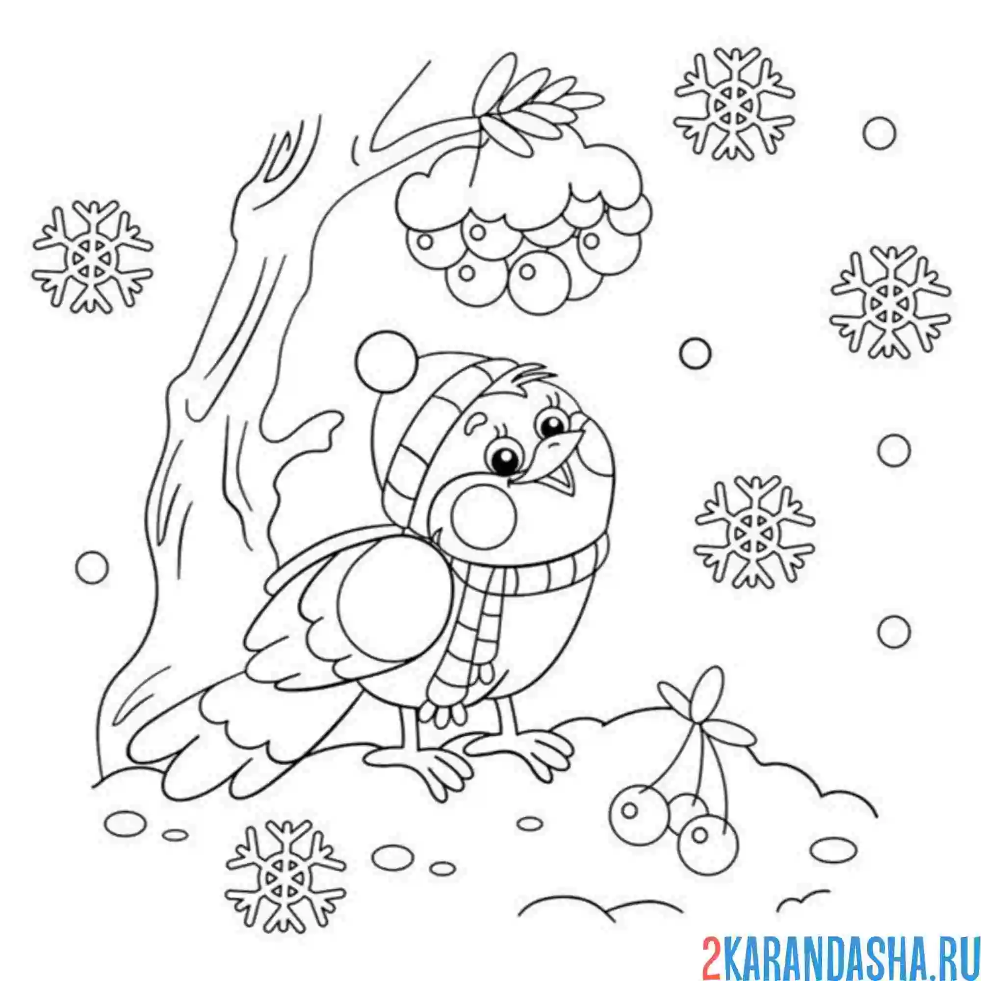 Раскраска снегирь в шапке