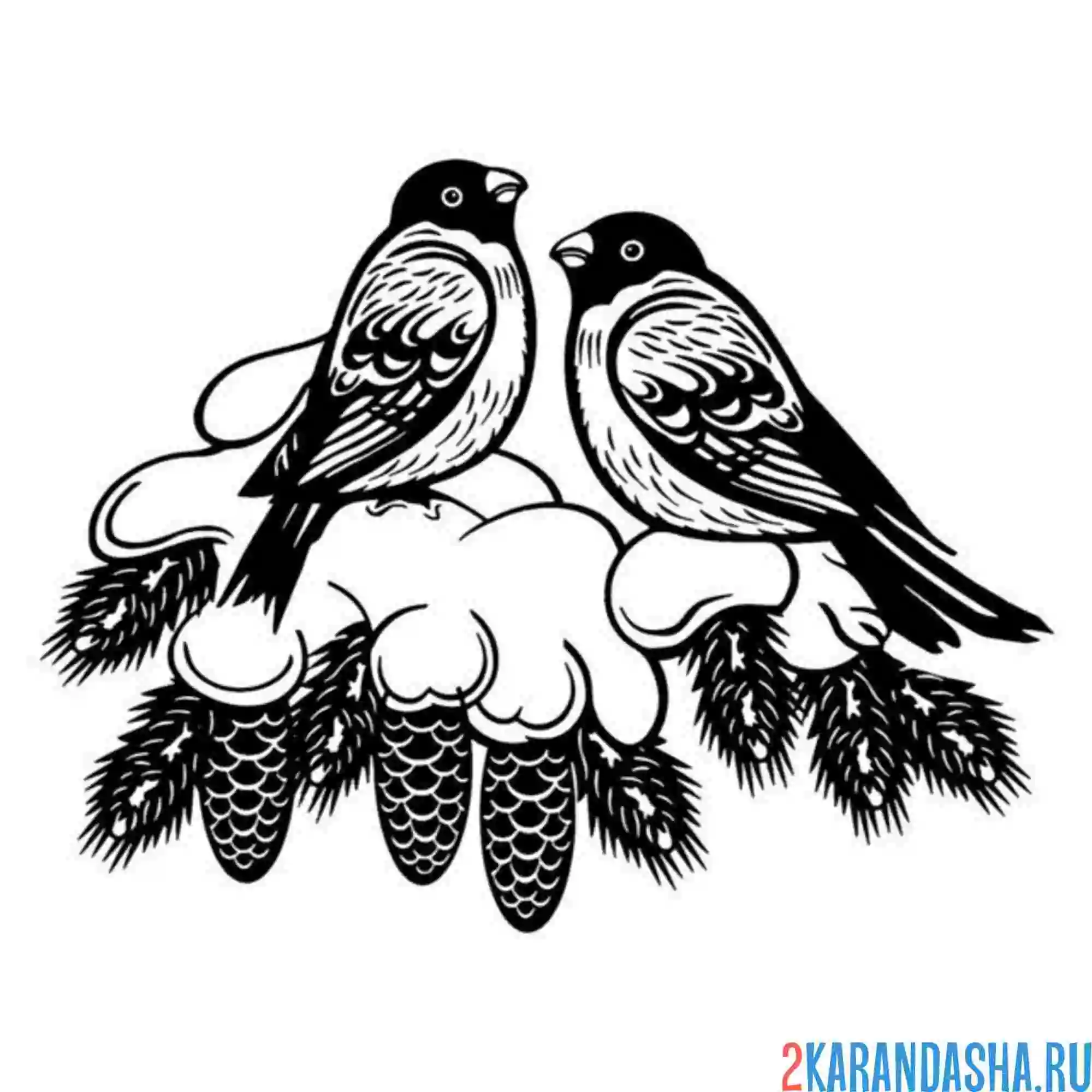 Раскраска два снегиря на снежной ветке