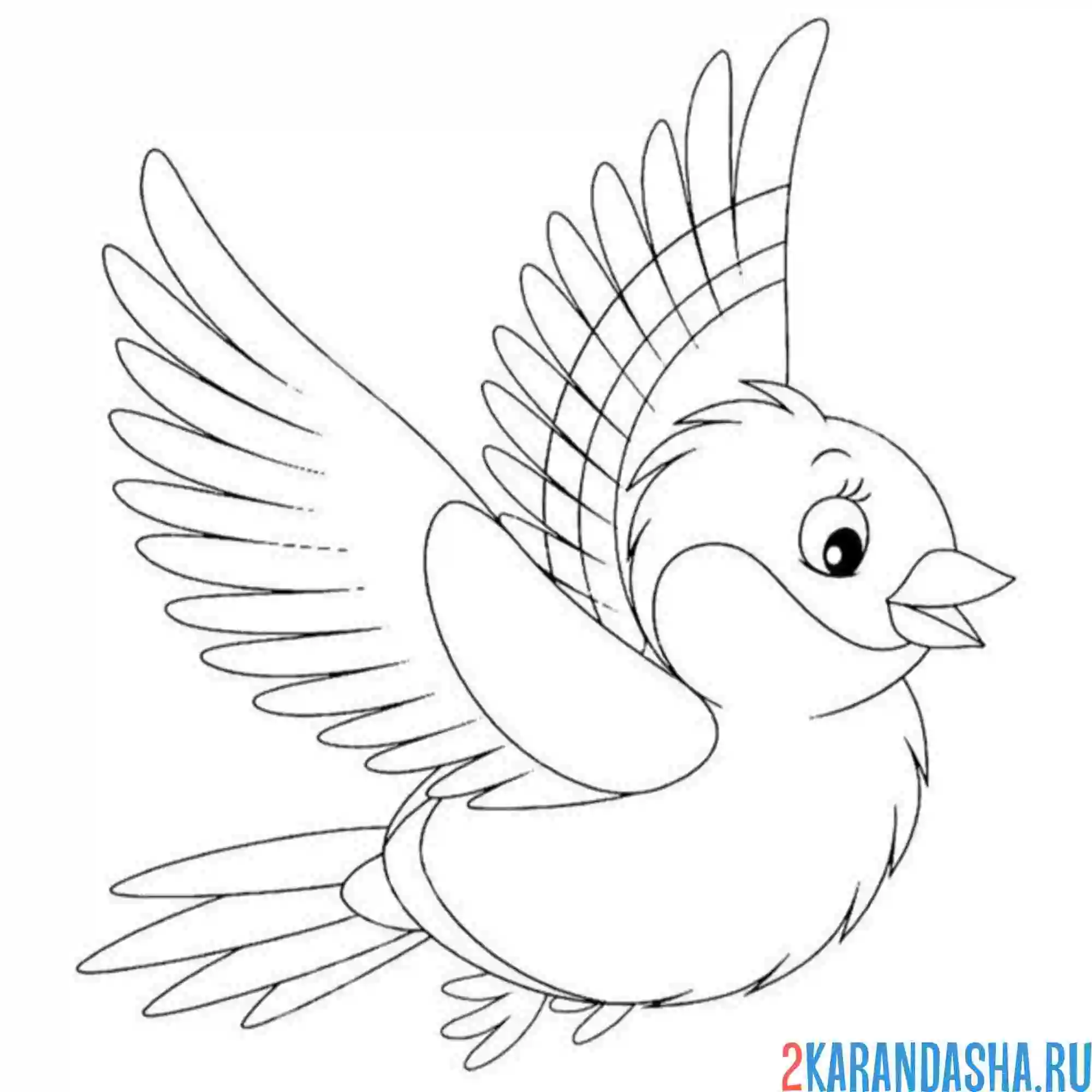 Раскраска снегирь летит