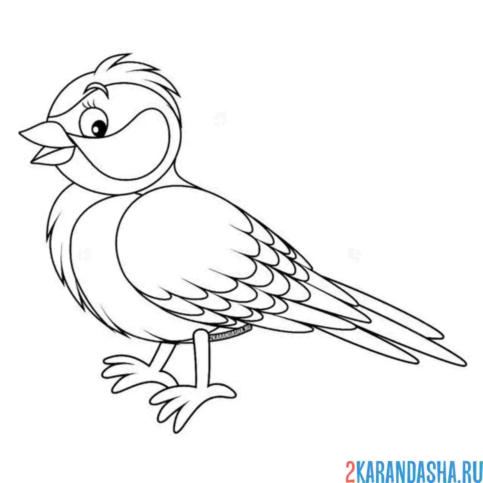 Раскраска снегирь на месте