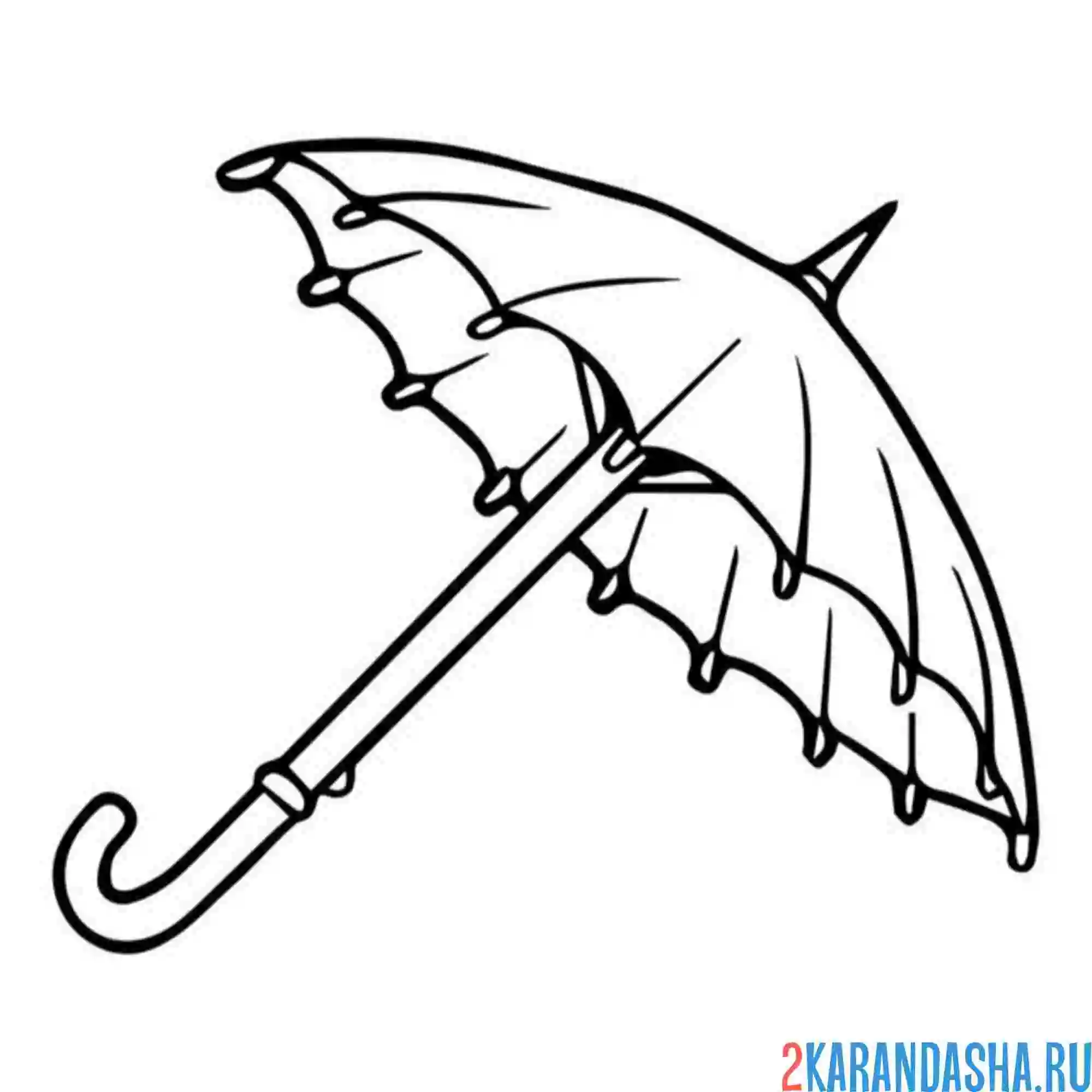 Раскраска зонтик дамский