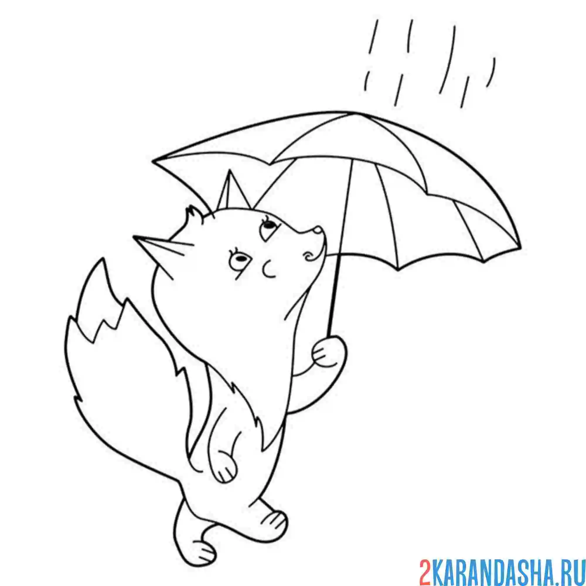 Раскраска лисица под зонтом
