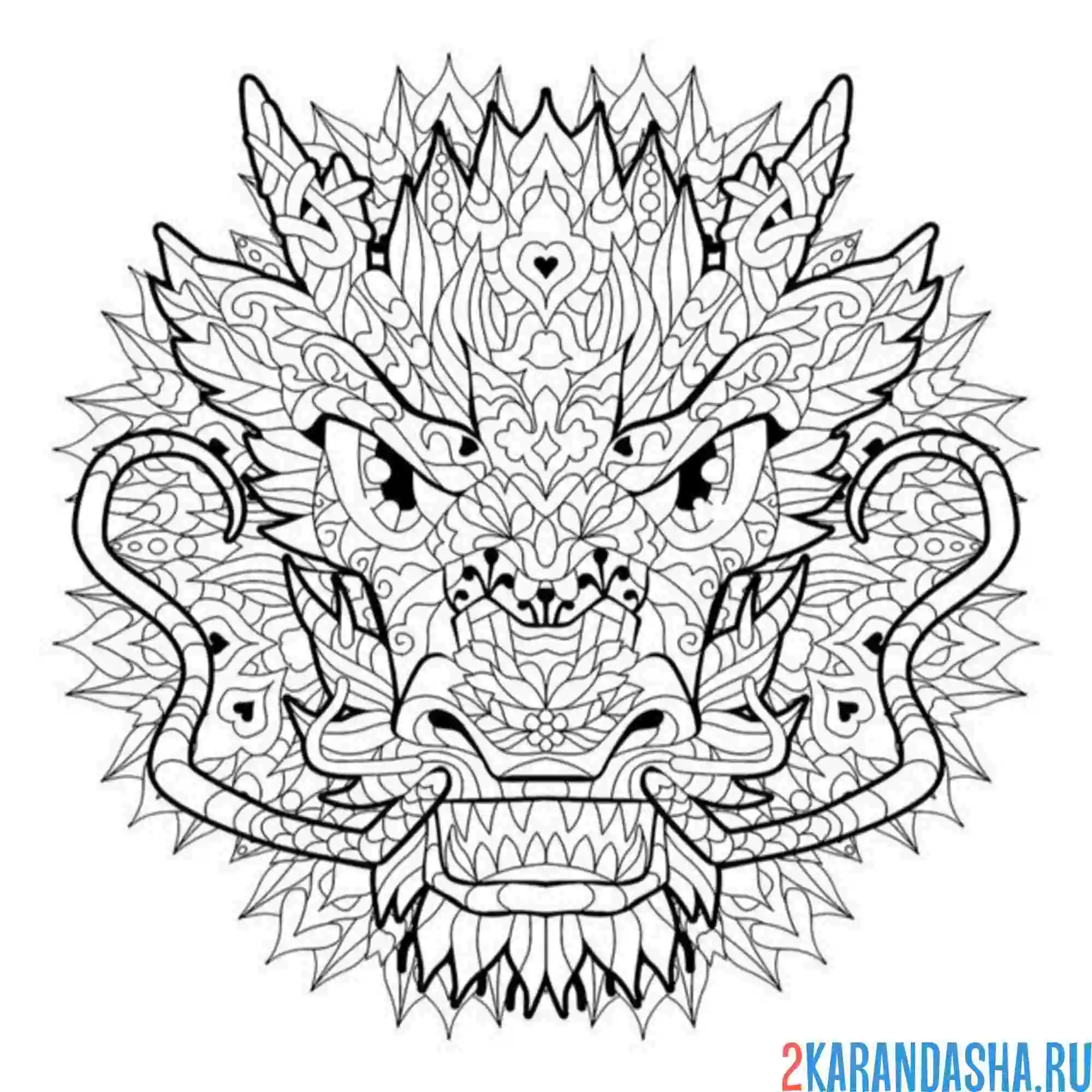 Раскраска дракон антистресс 2024