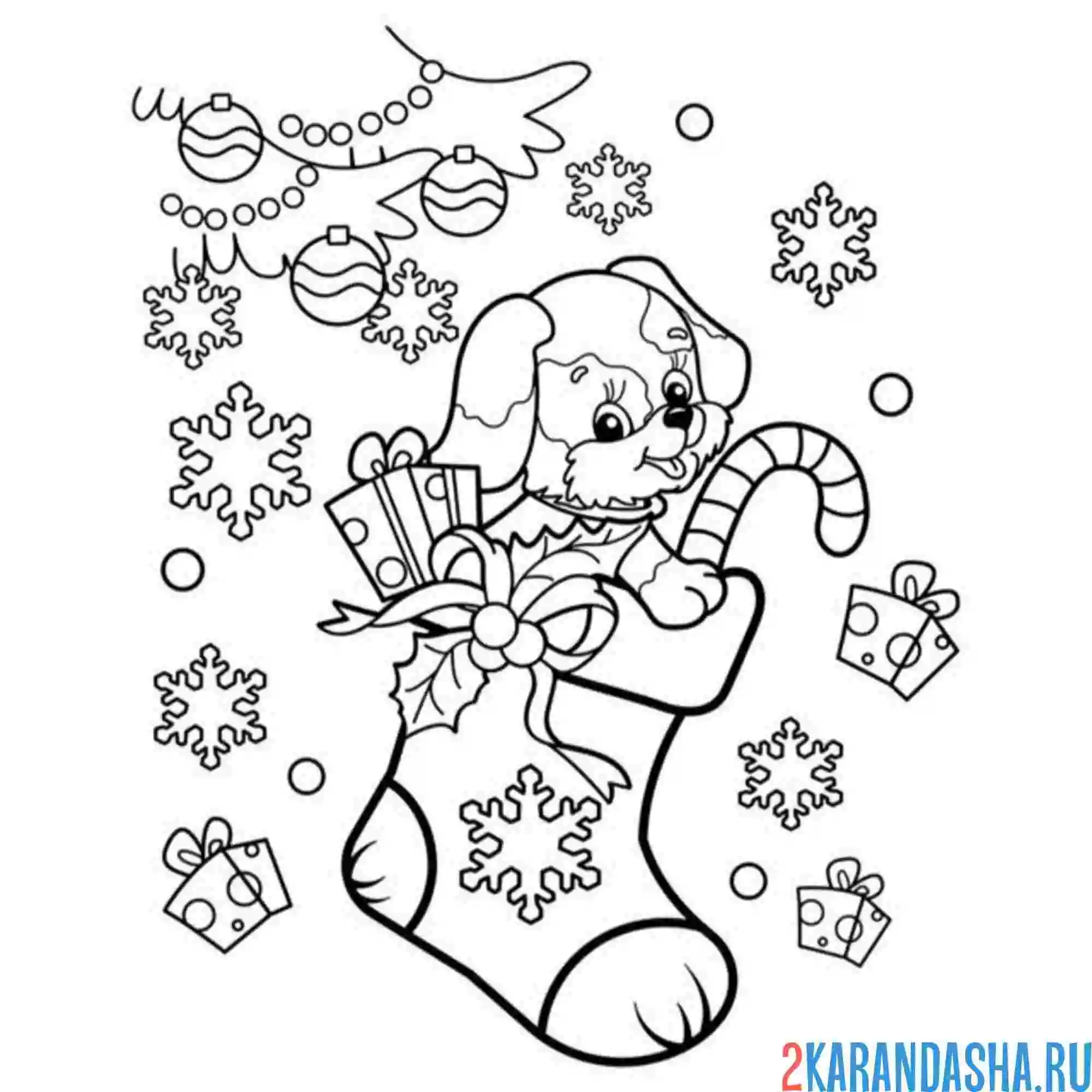 Раскраска собачка в новогоднем чулке