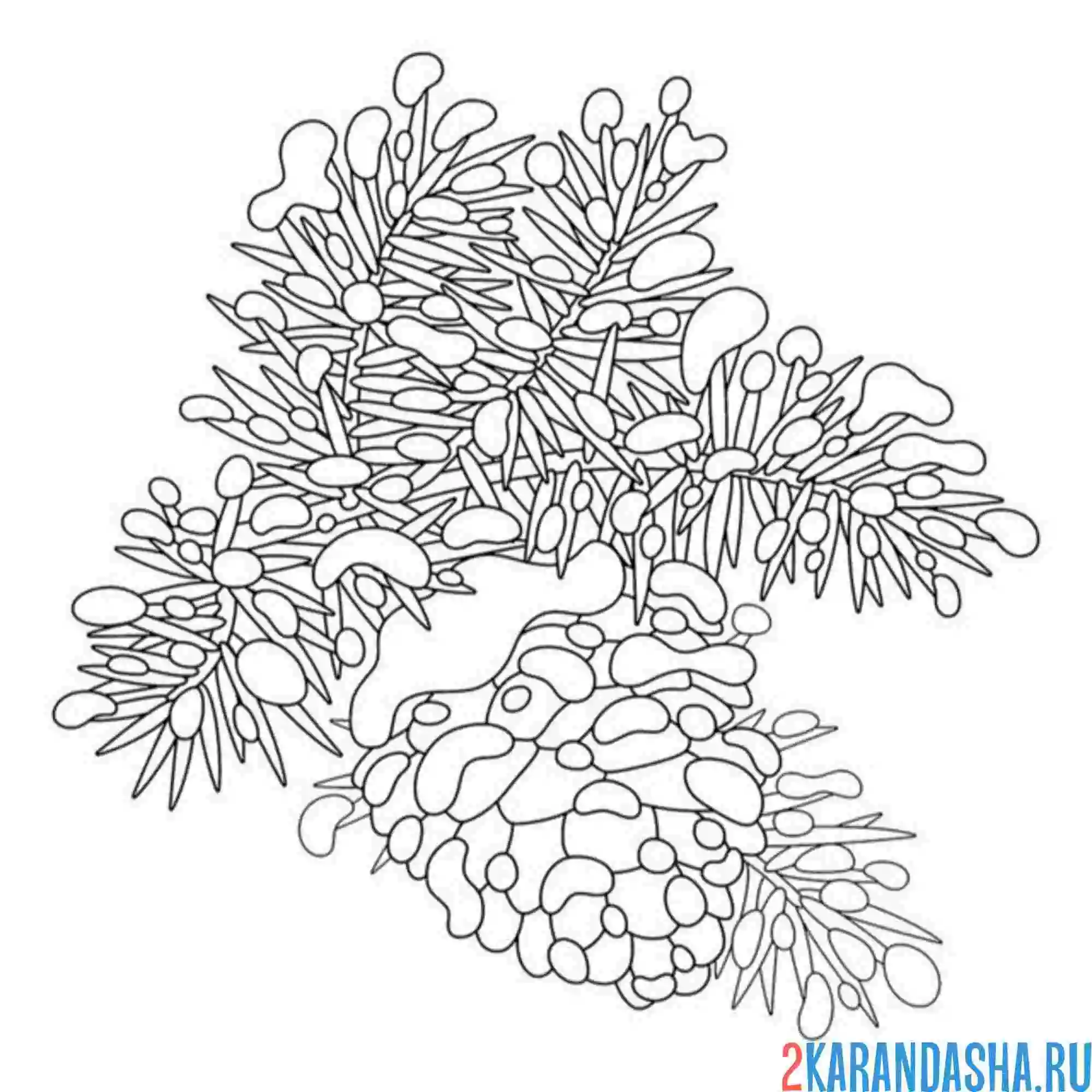Раскраска елка и шишка в снегу