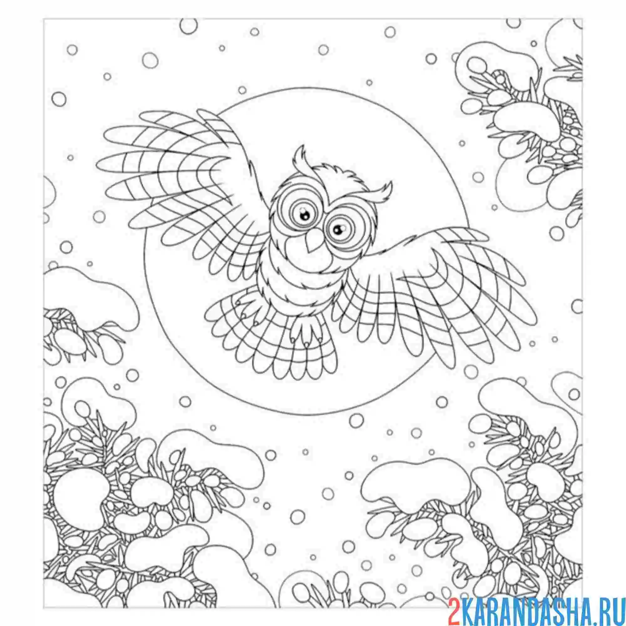 Раскраска сова и зимний снежный лес