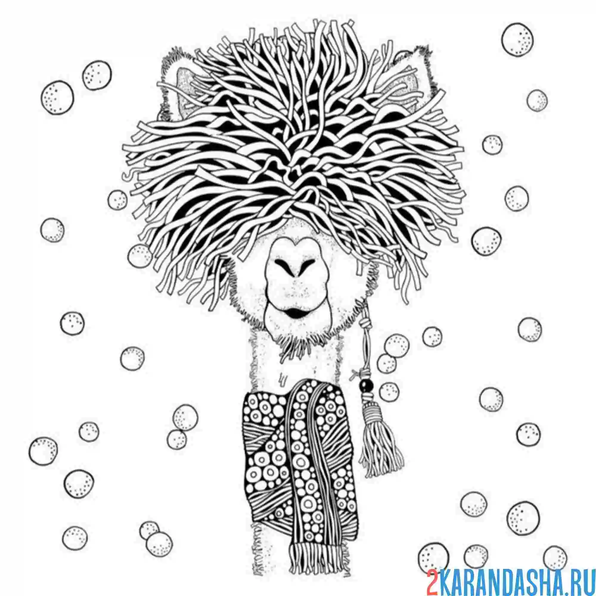 Раскраска арт верблюд