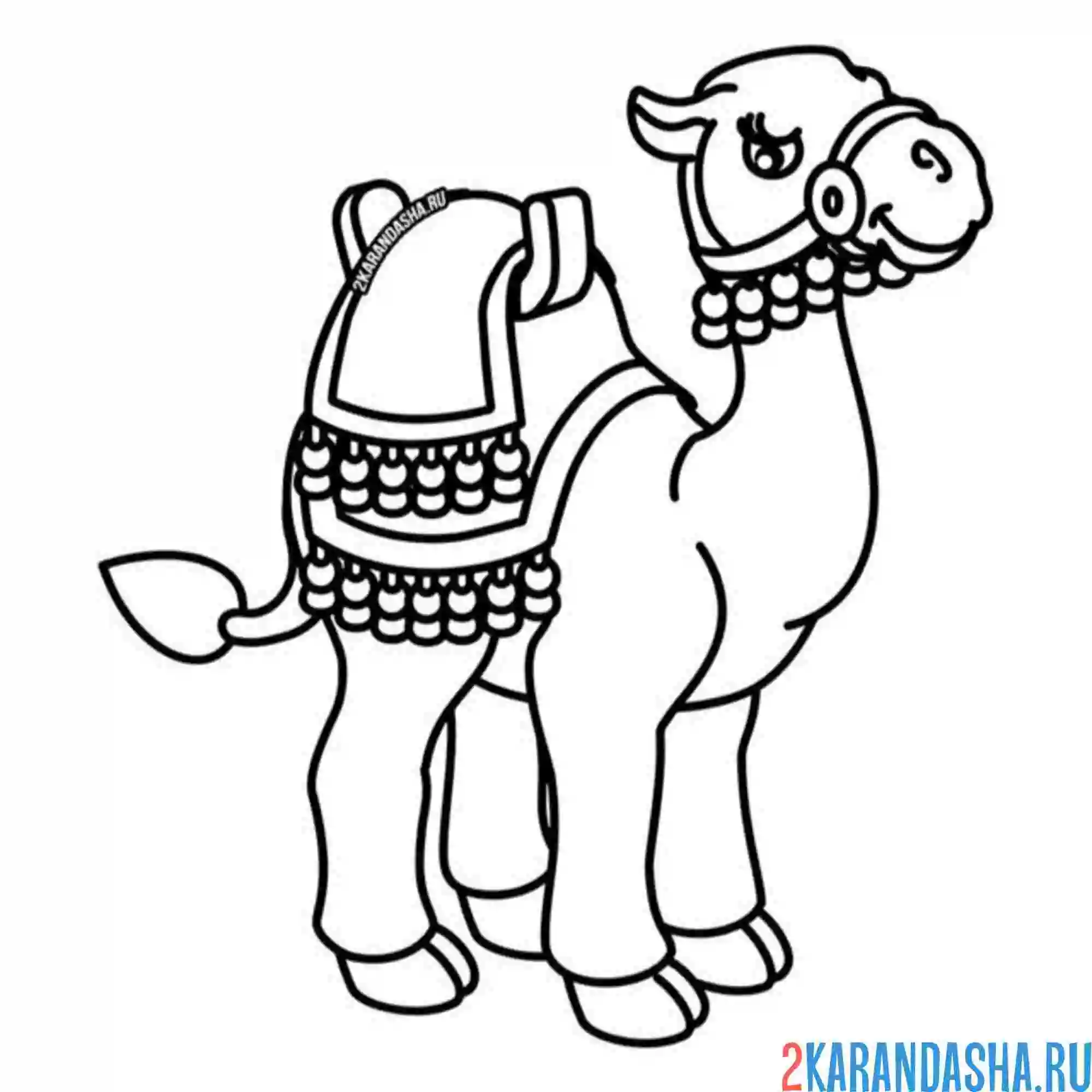 Раскраска верблюд иллюстрация