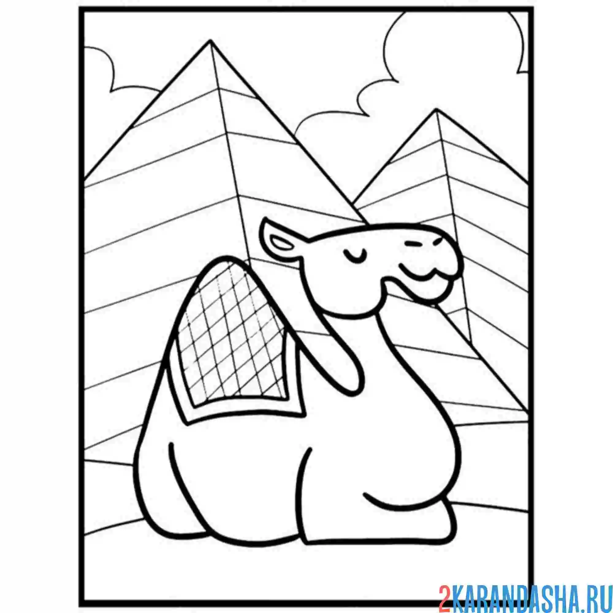 Раскраска египетский верблюд