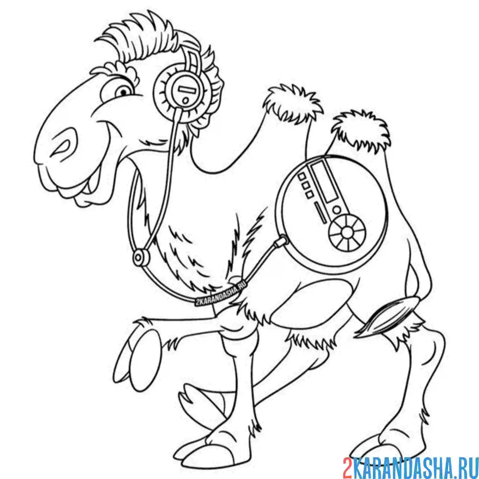 Раскраска верблюд музыкант