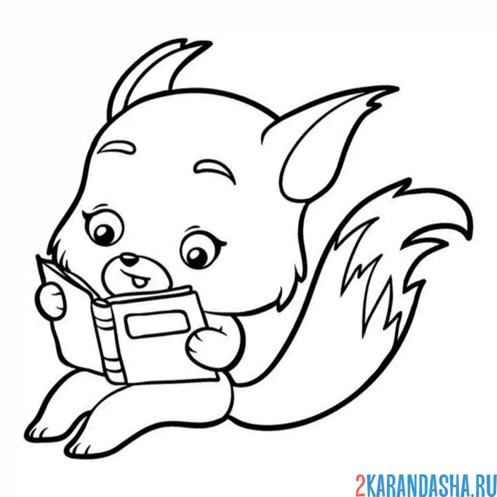 Раскраска белка читает книгу