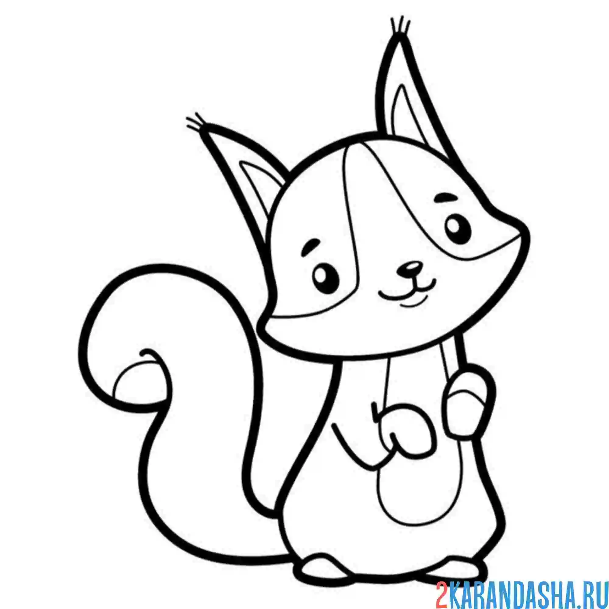 Раскраска милашка белочка