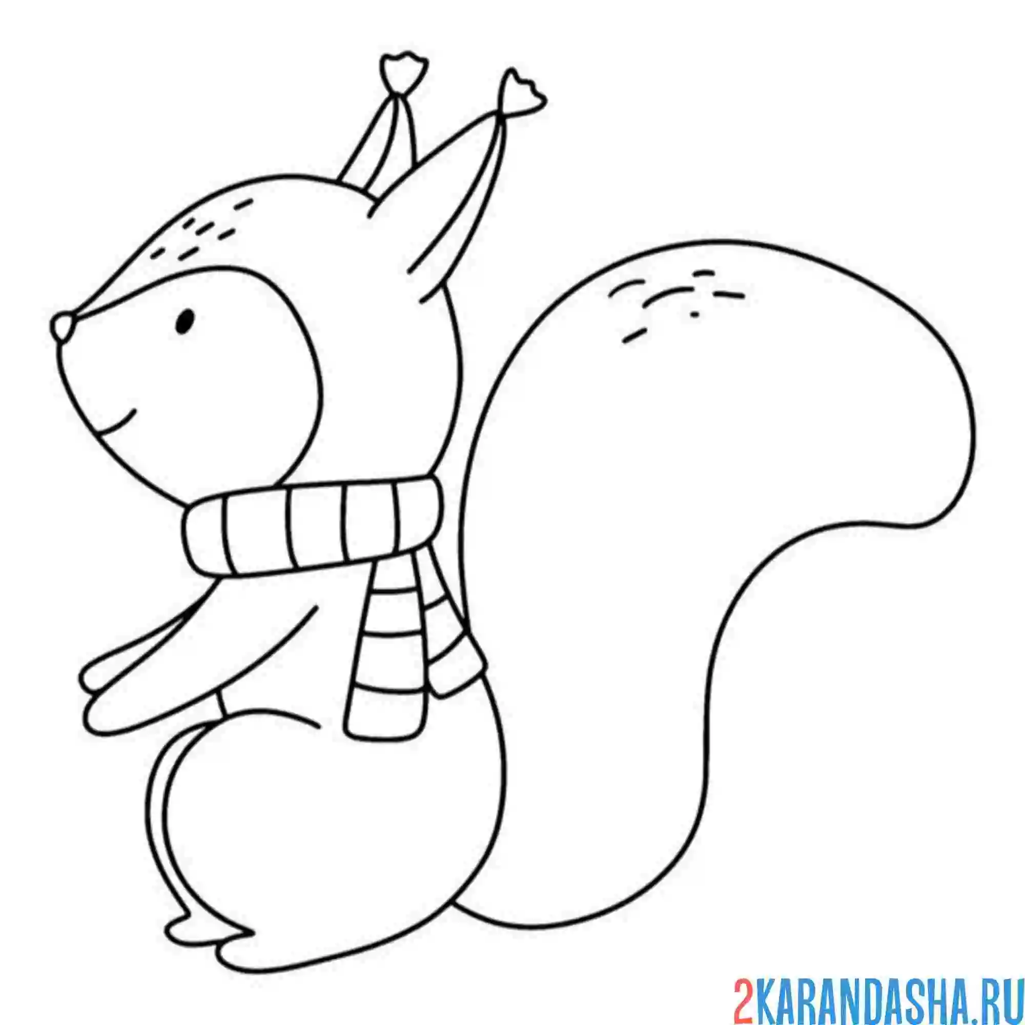 Раскраска белка в шарфе