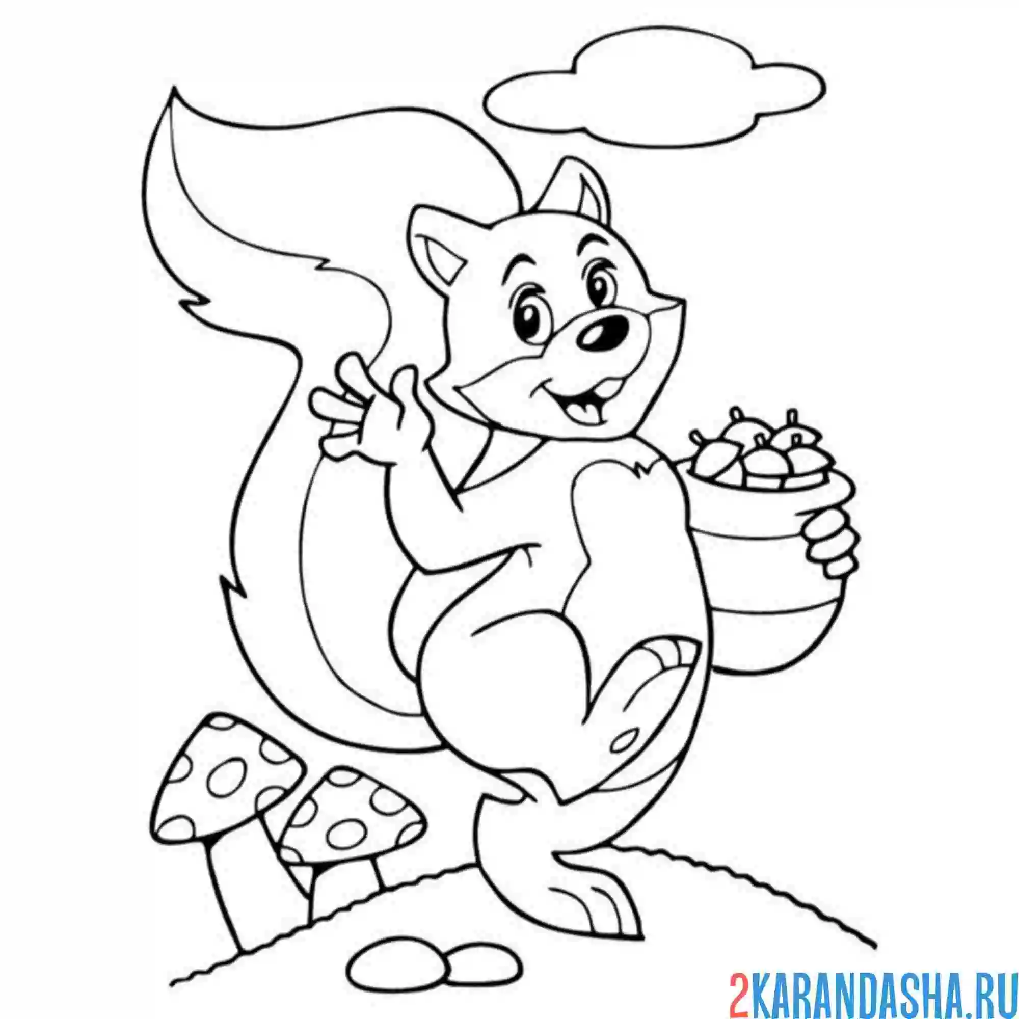 Раскраска белка с грибами