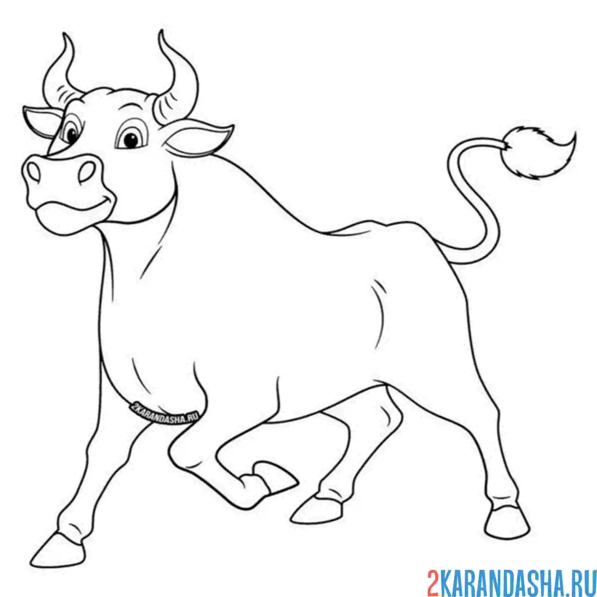 Раскраска бык веселый