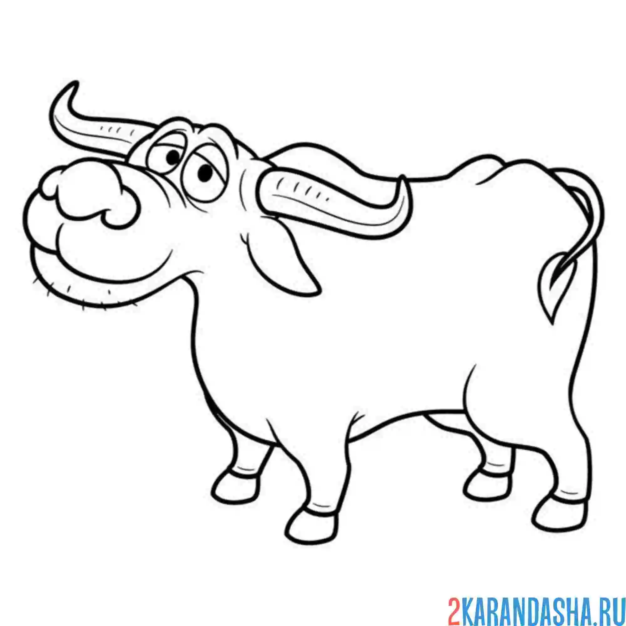 Раскраска буйвол