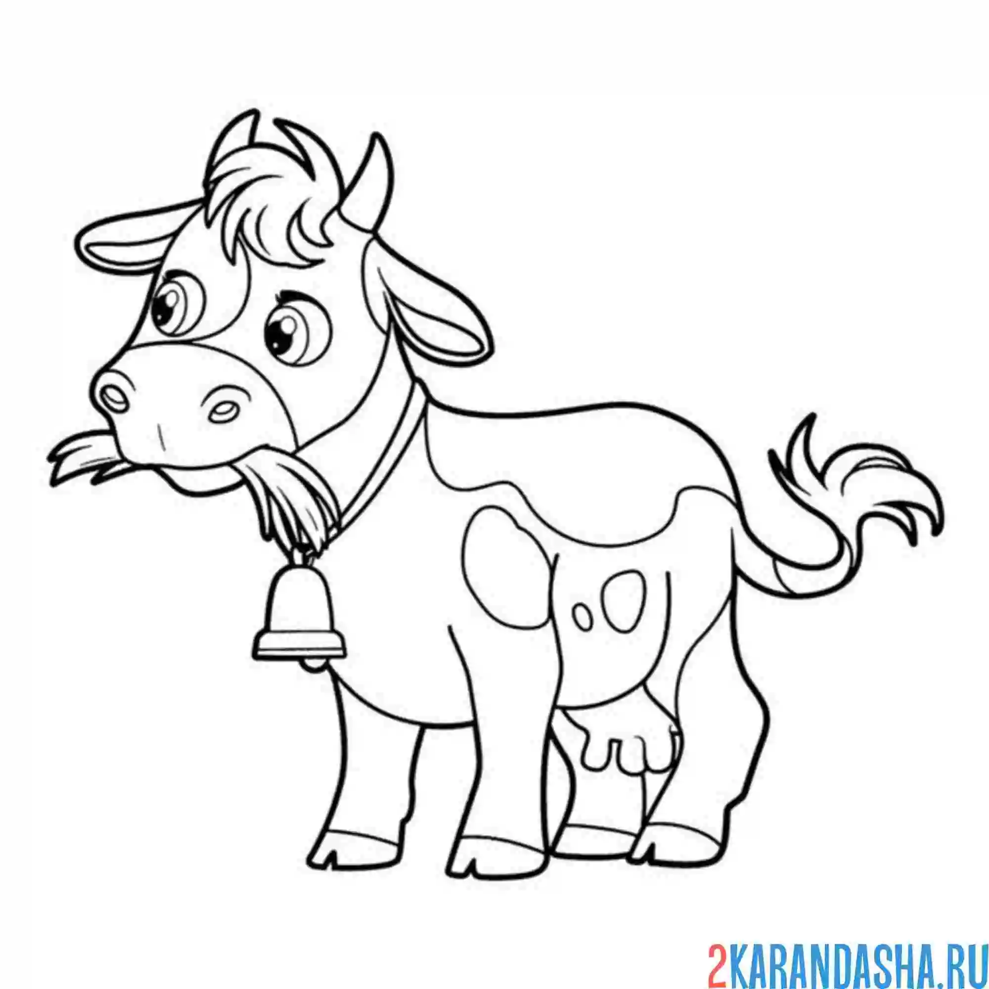 Раскраска коровка жует траву