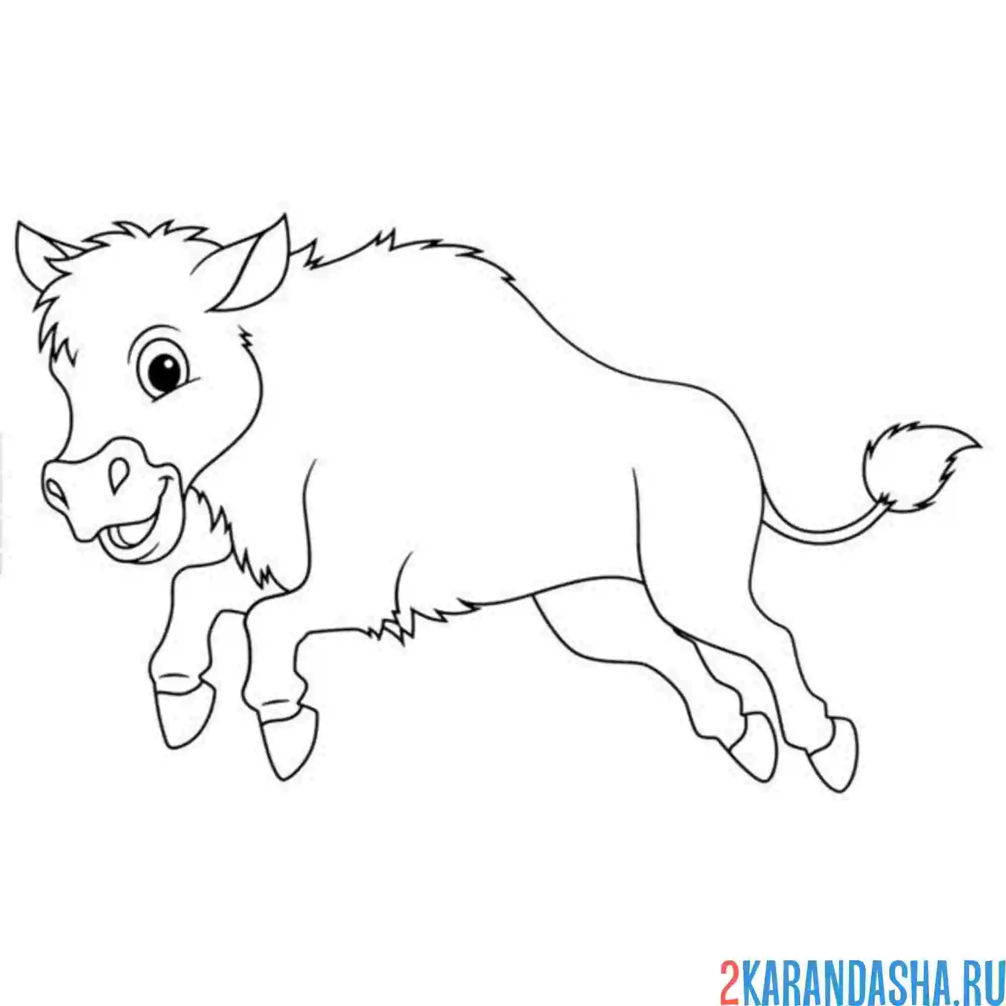 Раскраска маленький бычок