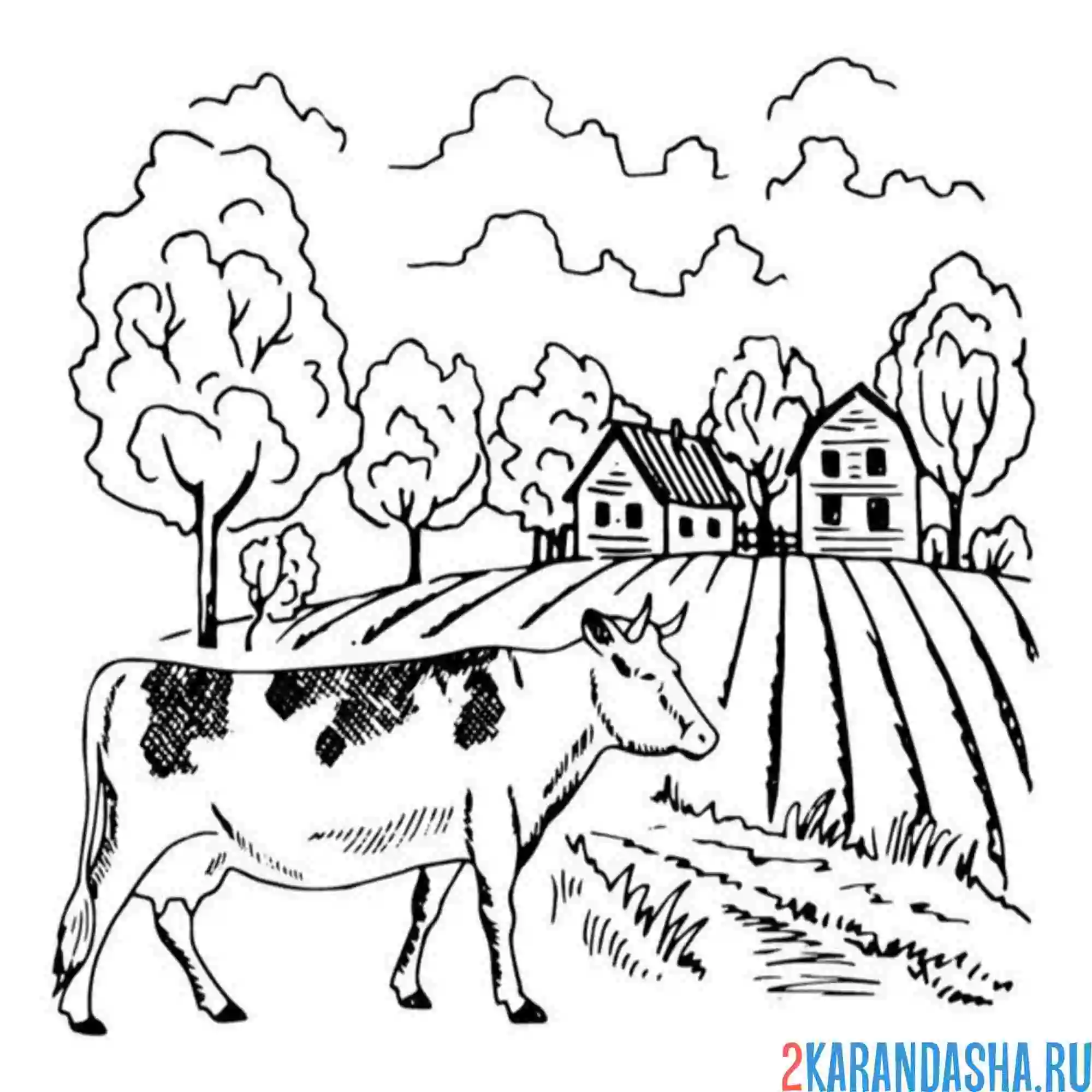 Раскраска корова гуляет