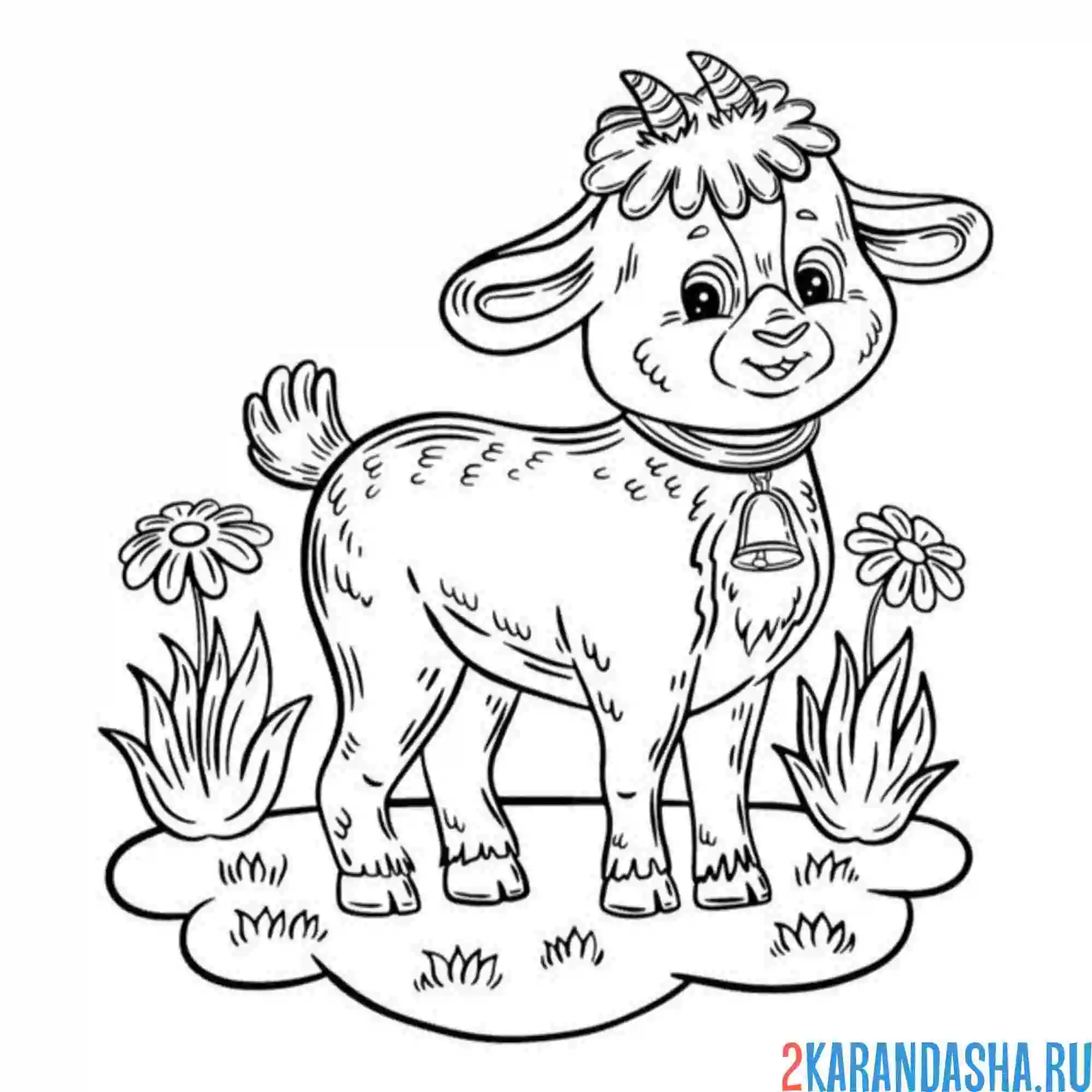 Раскраска молодая коза