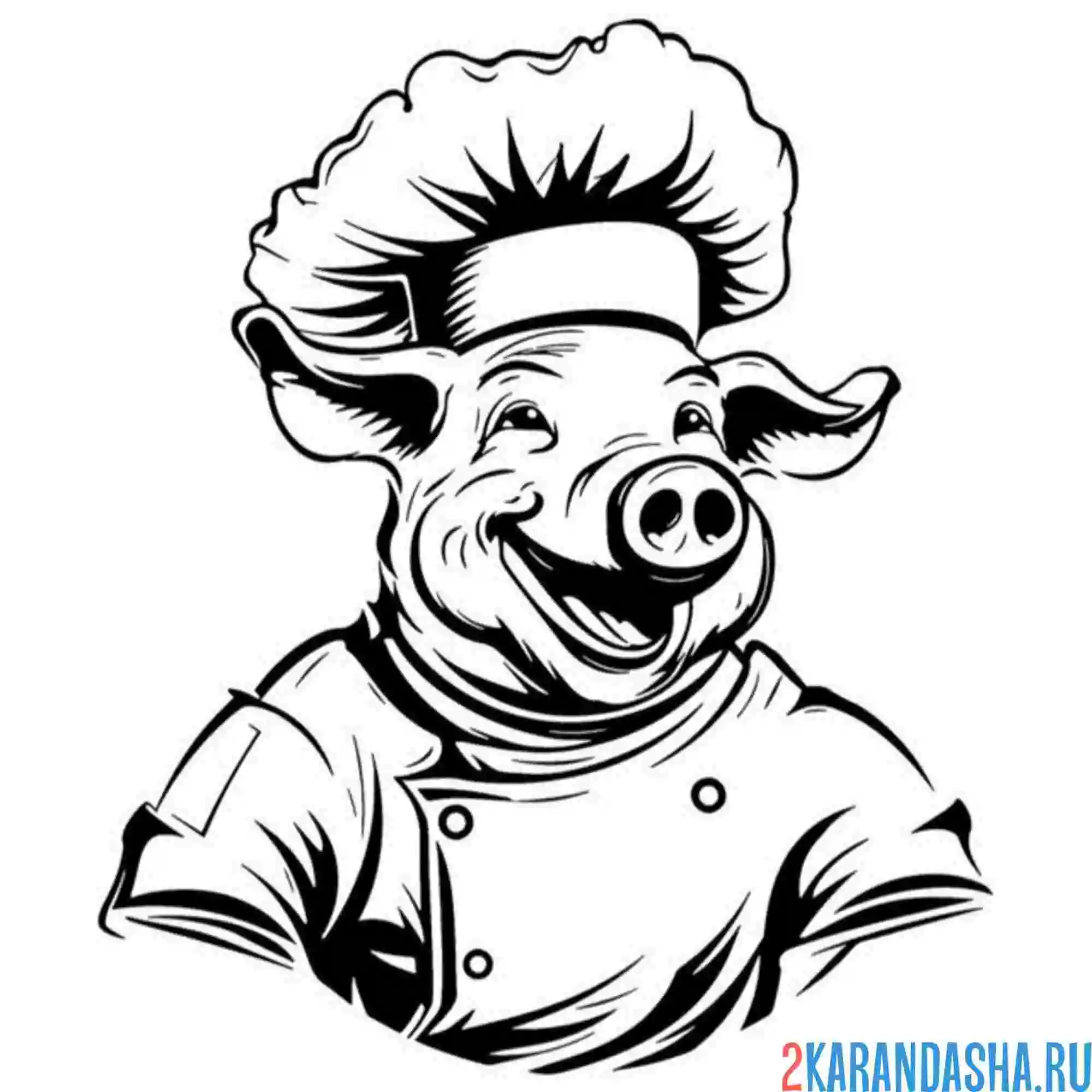 Раскраска повар свин