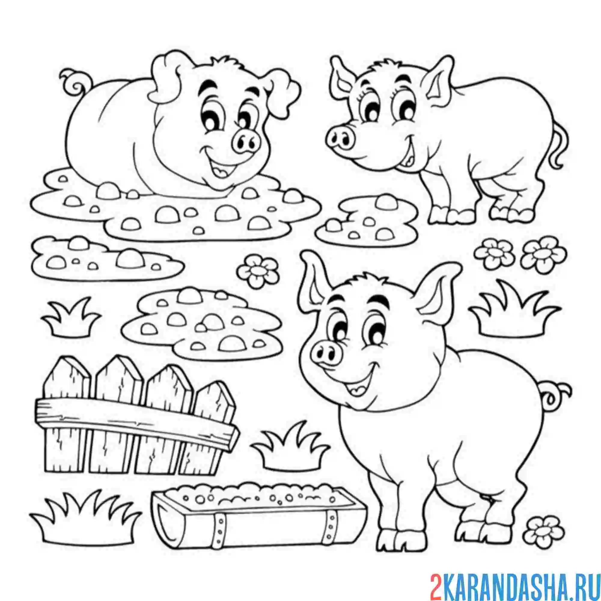 Раскраска свиньи гуляют