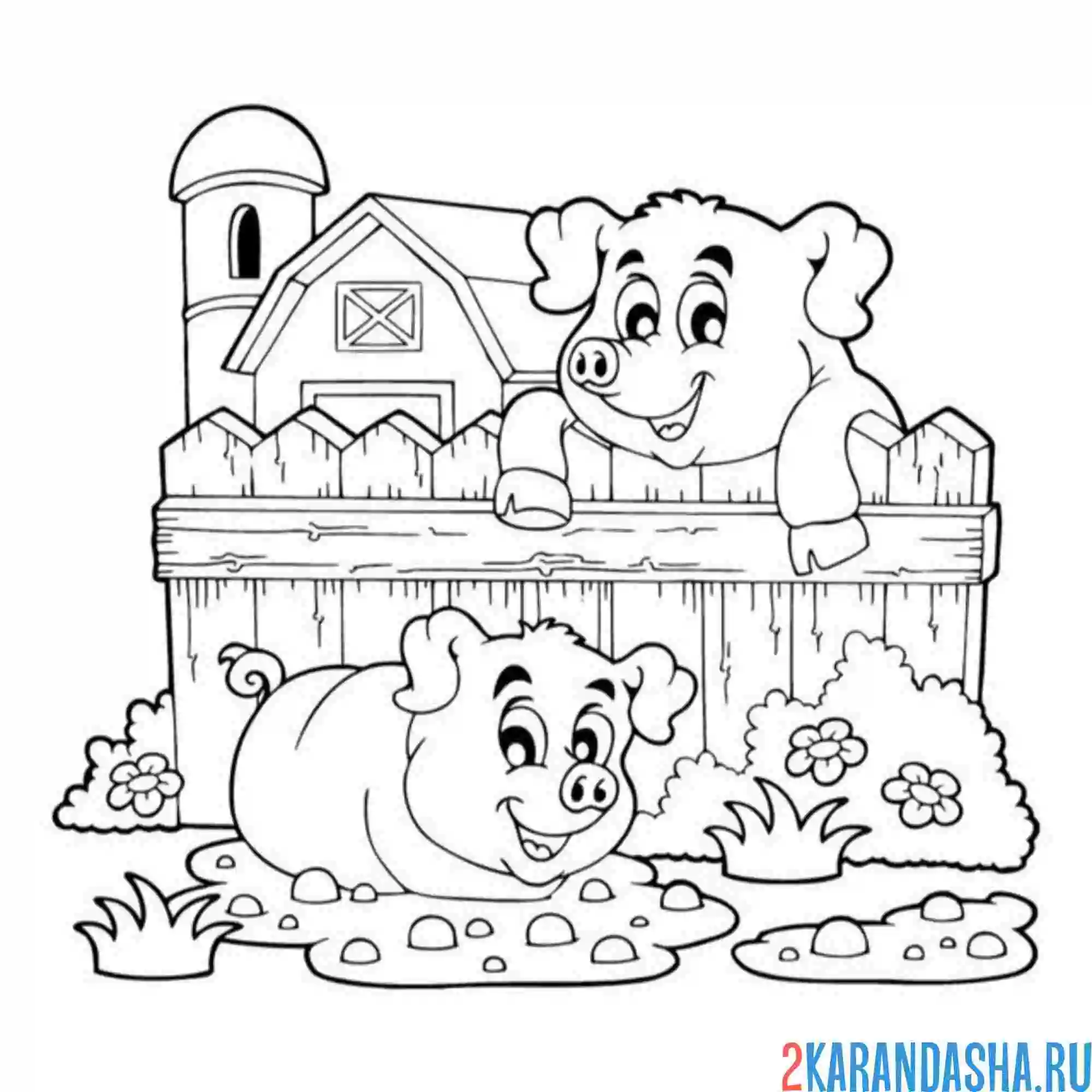 Раскраска ферма со свиньями