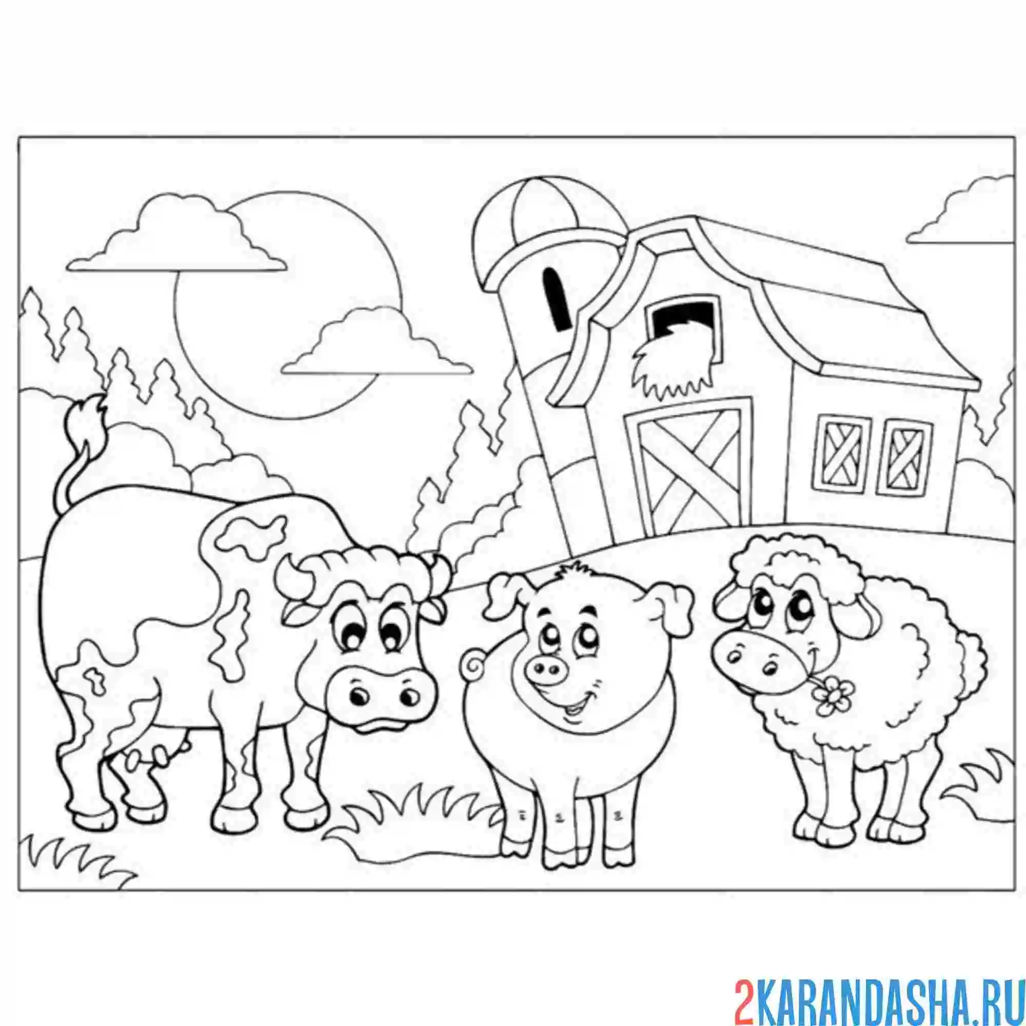 Раскраска свинья, бык и овца