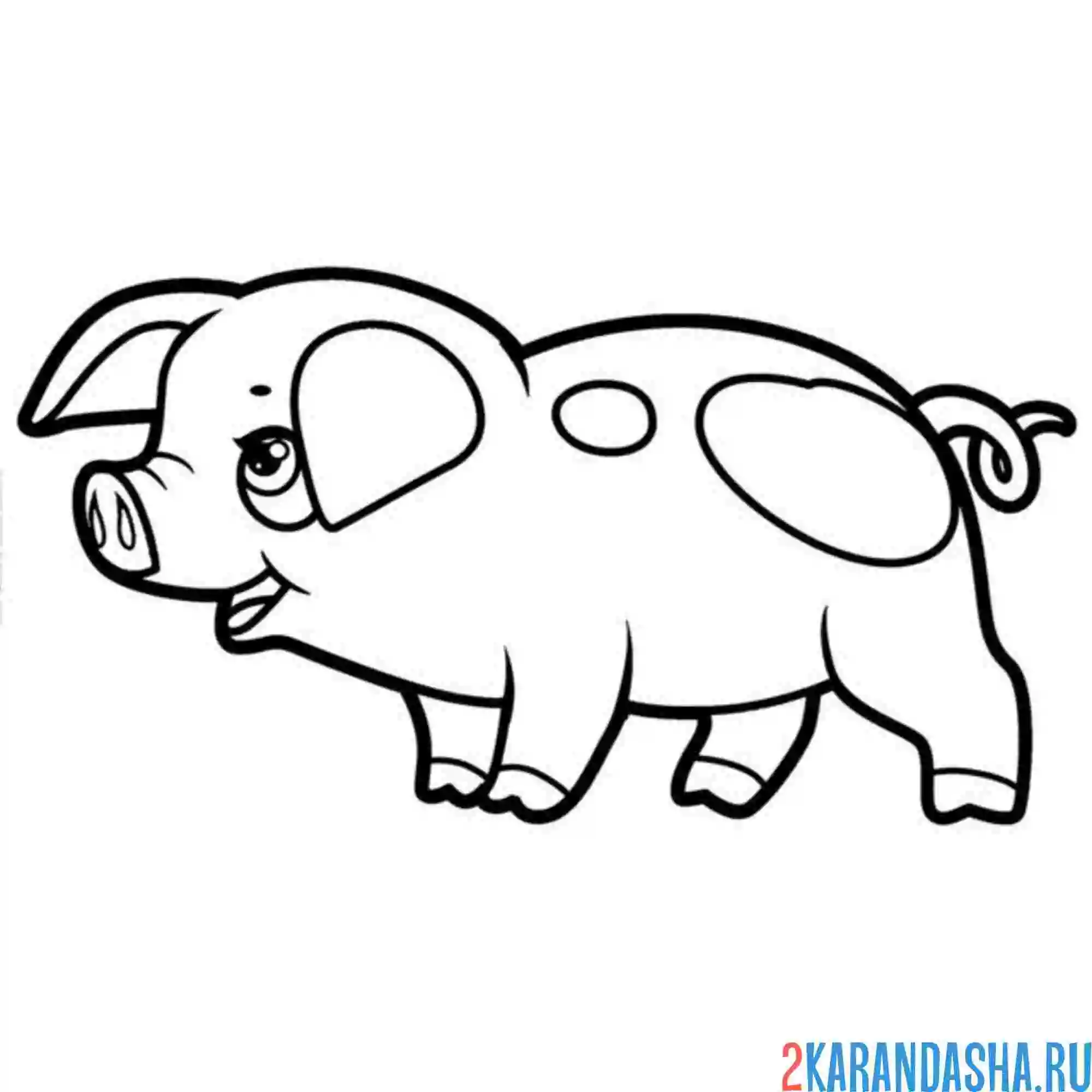 Раскраска поросенок милаш