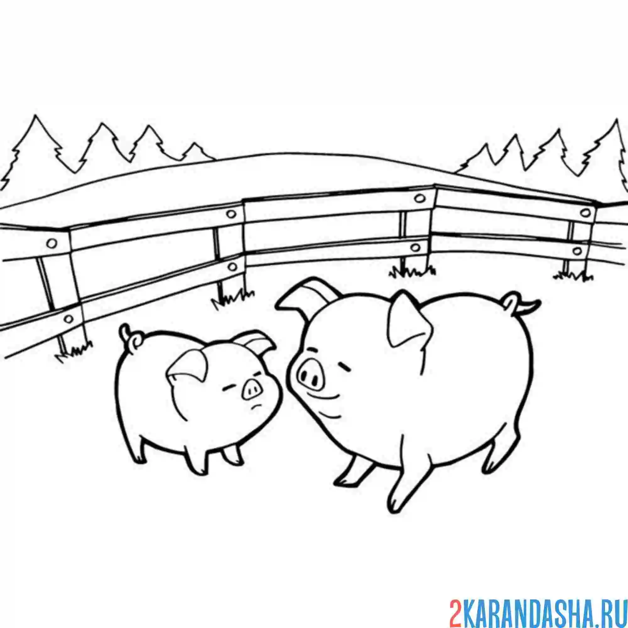 Раскраска свиньи на выгуле