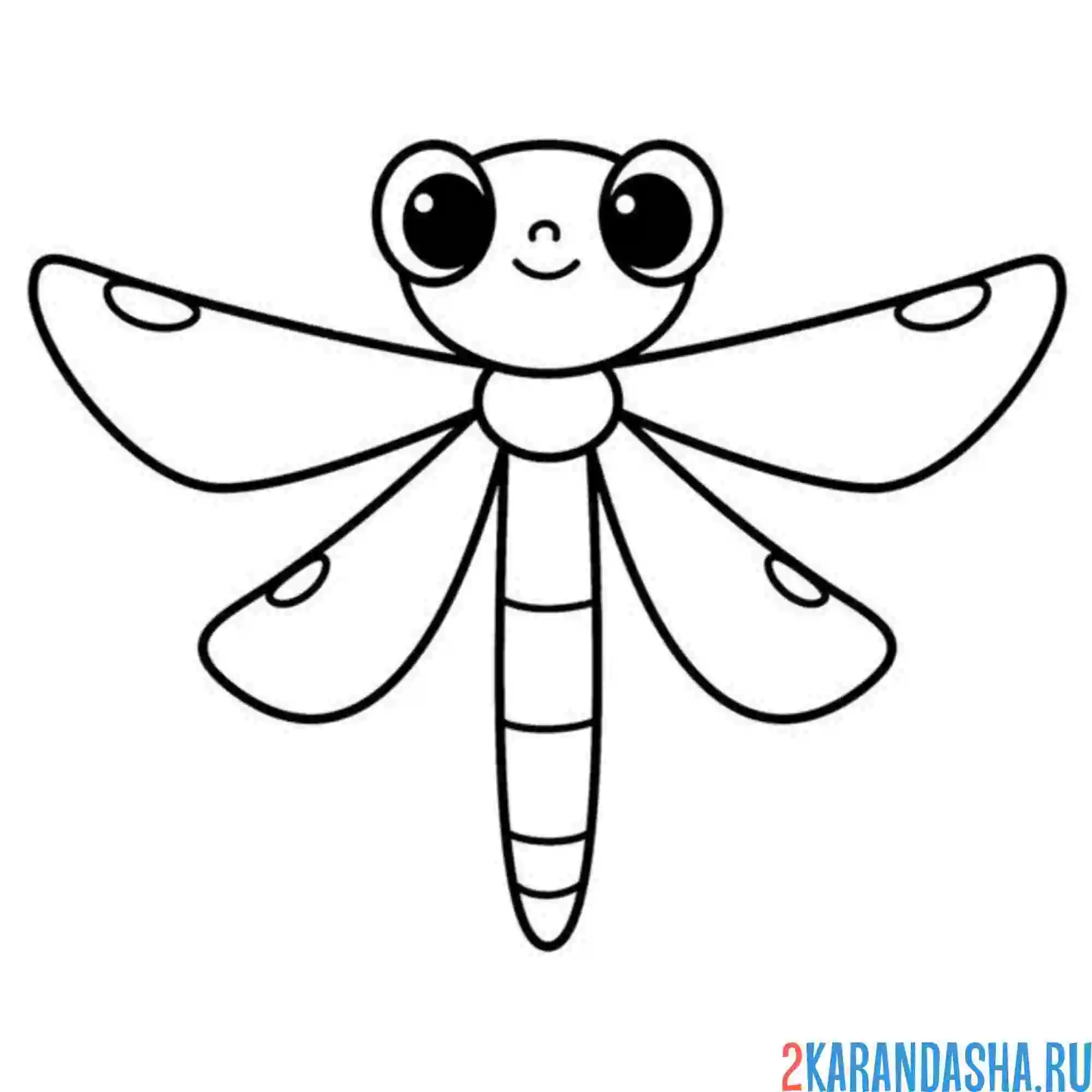 Раскраска стрекоза малышка