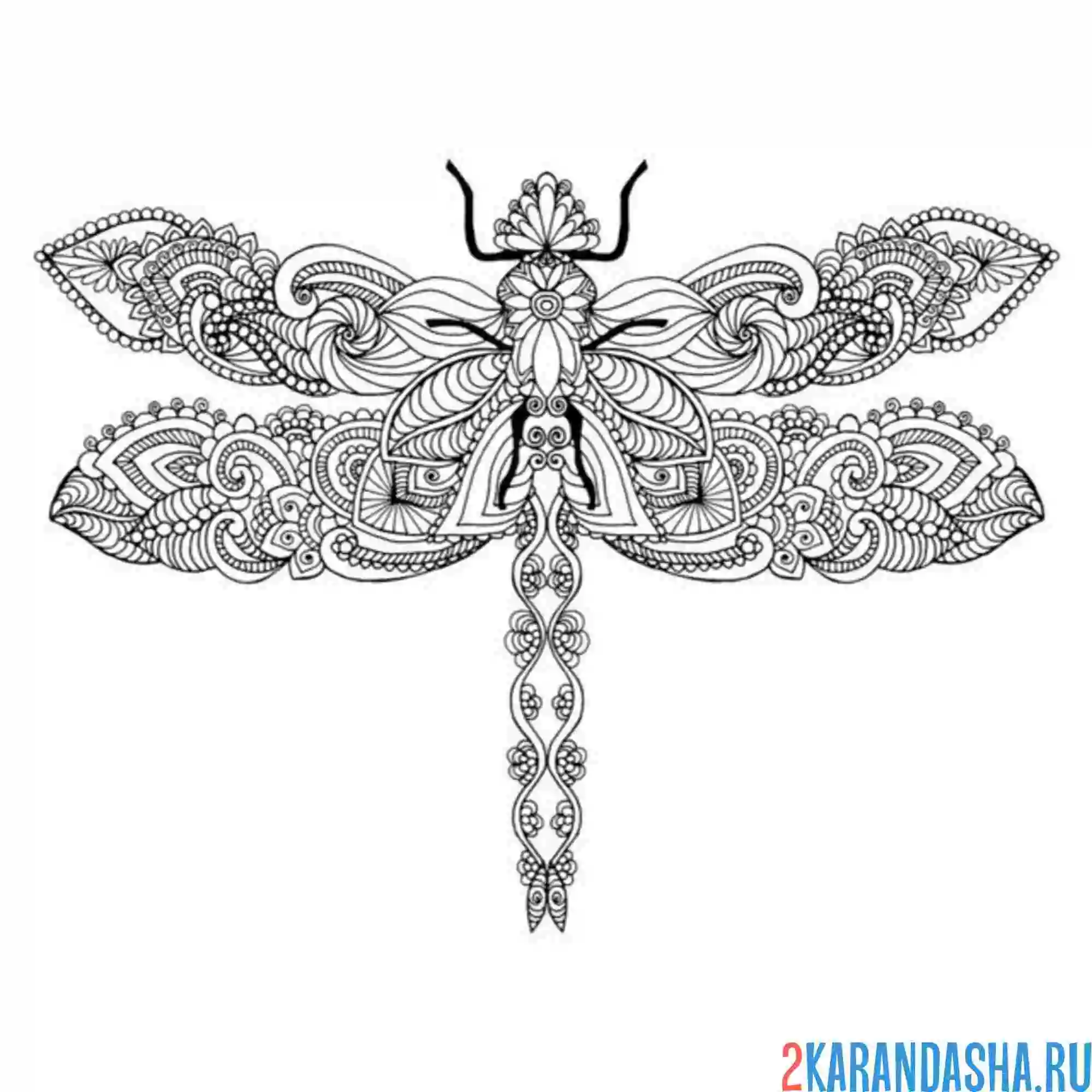 Раскраска стрекоза антистресс