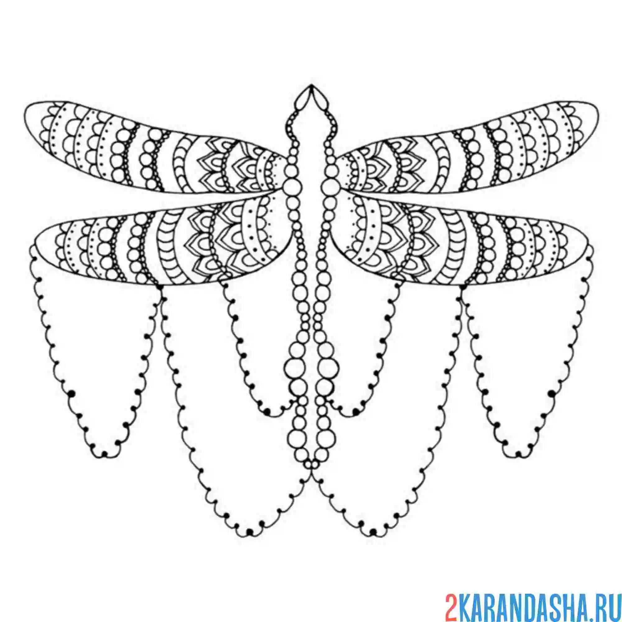 Раскраска стрекоза с цепочкой