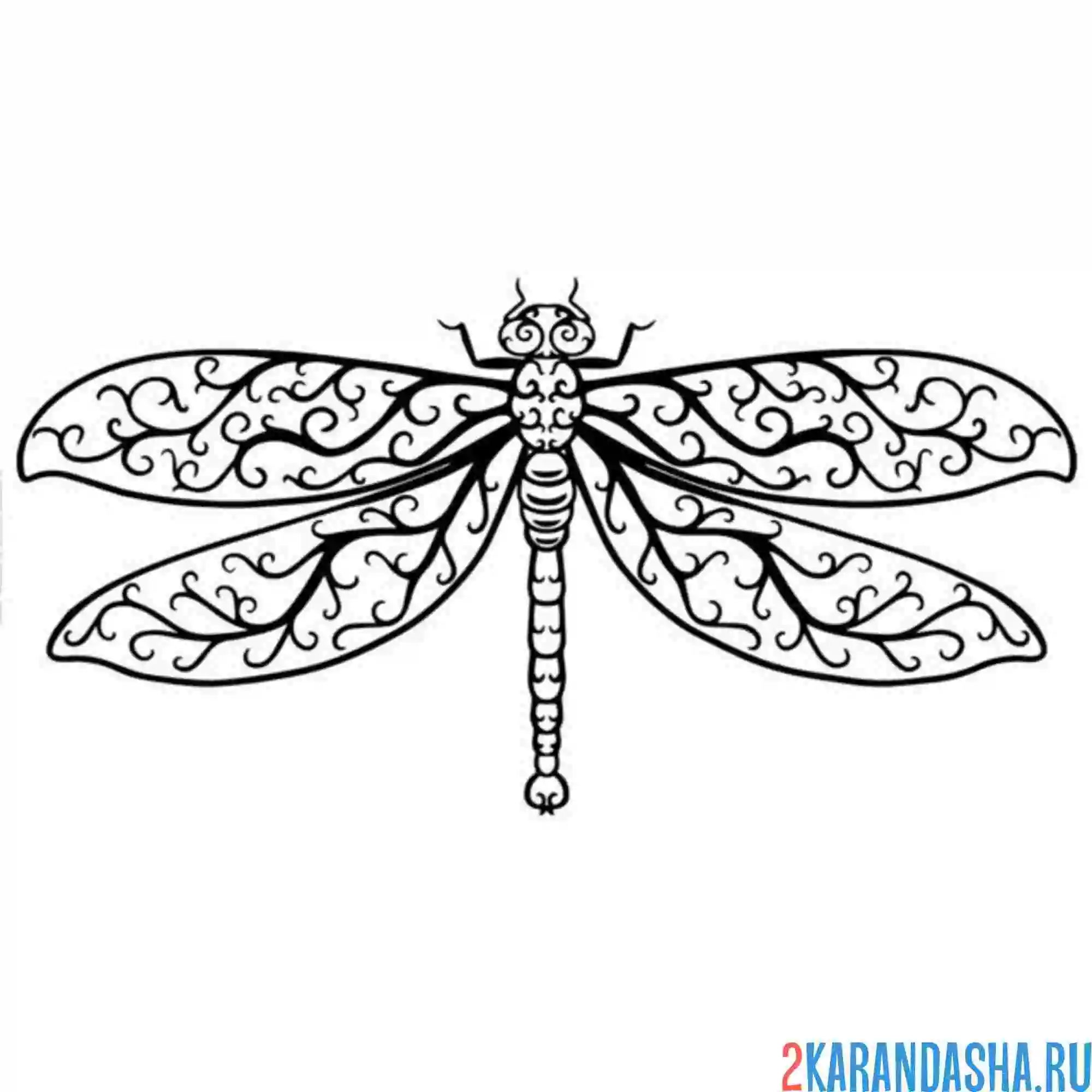 Раскраска стрекоза в узорах