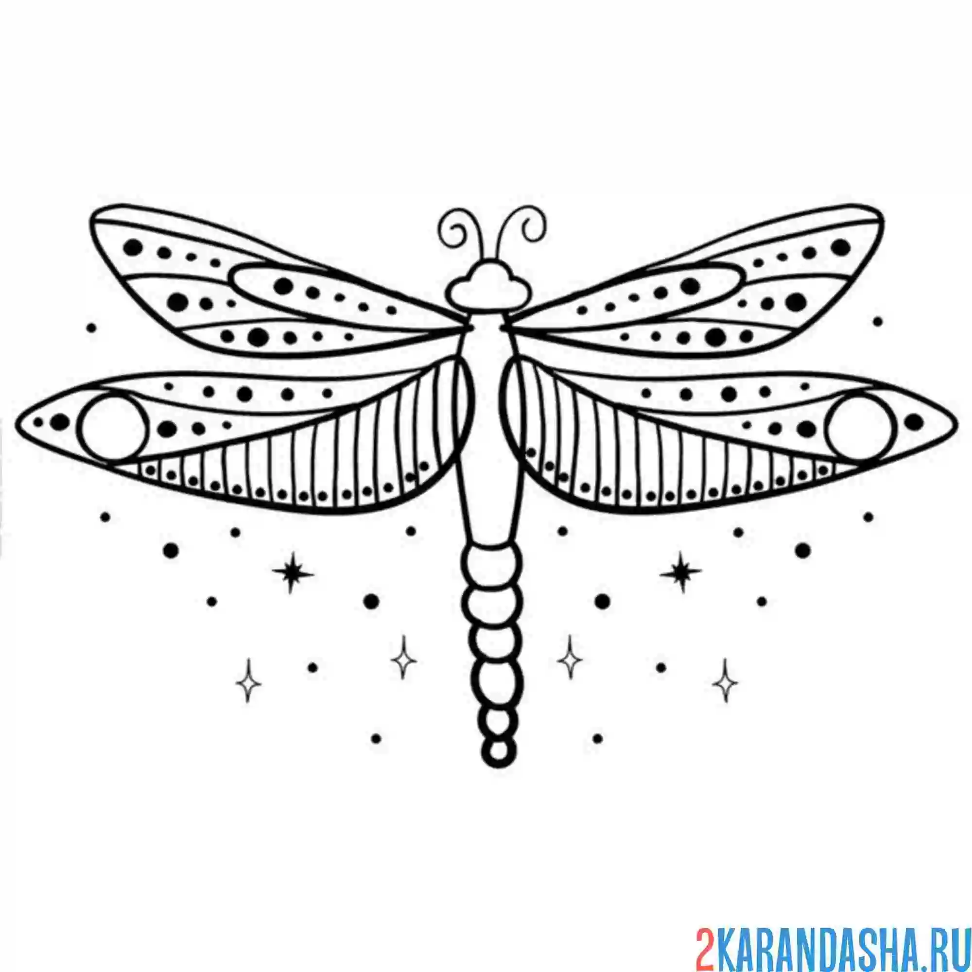 Раскраска стрекоза в звездах