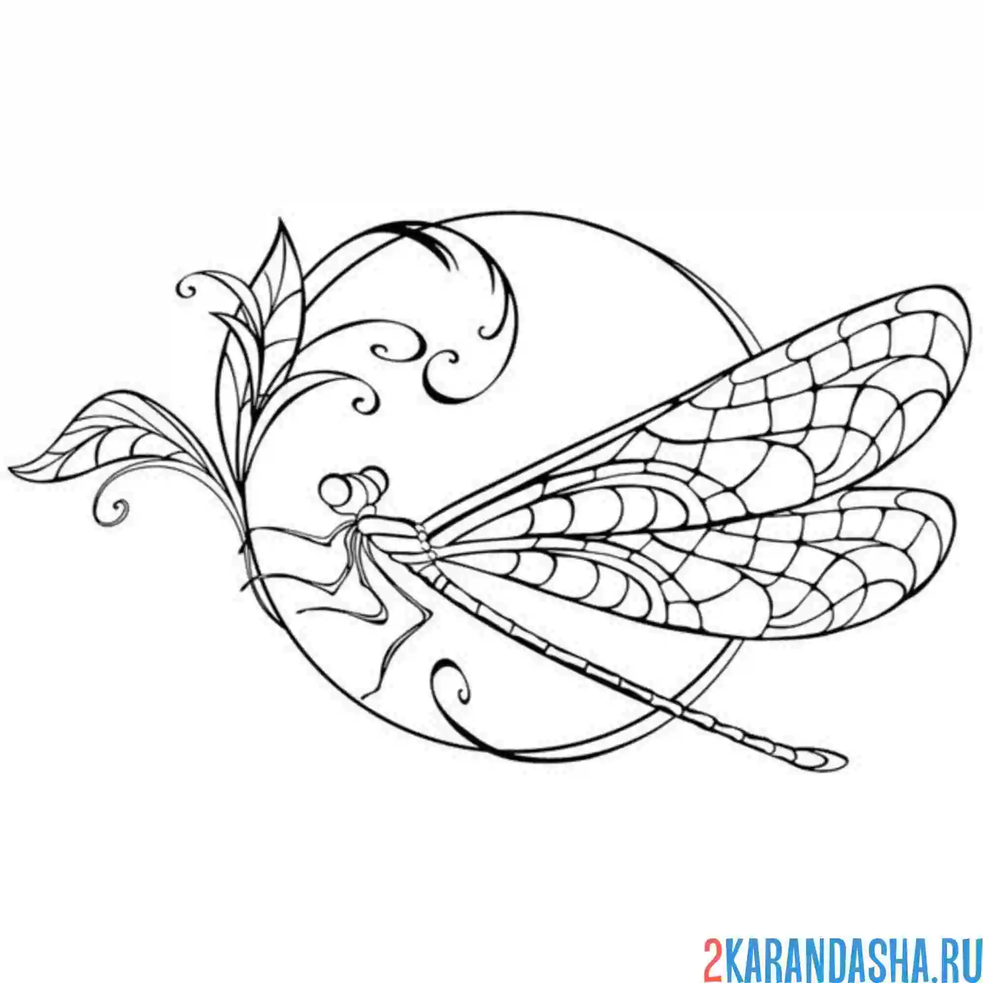 Раскраска стрекоза на ветке