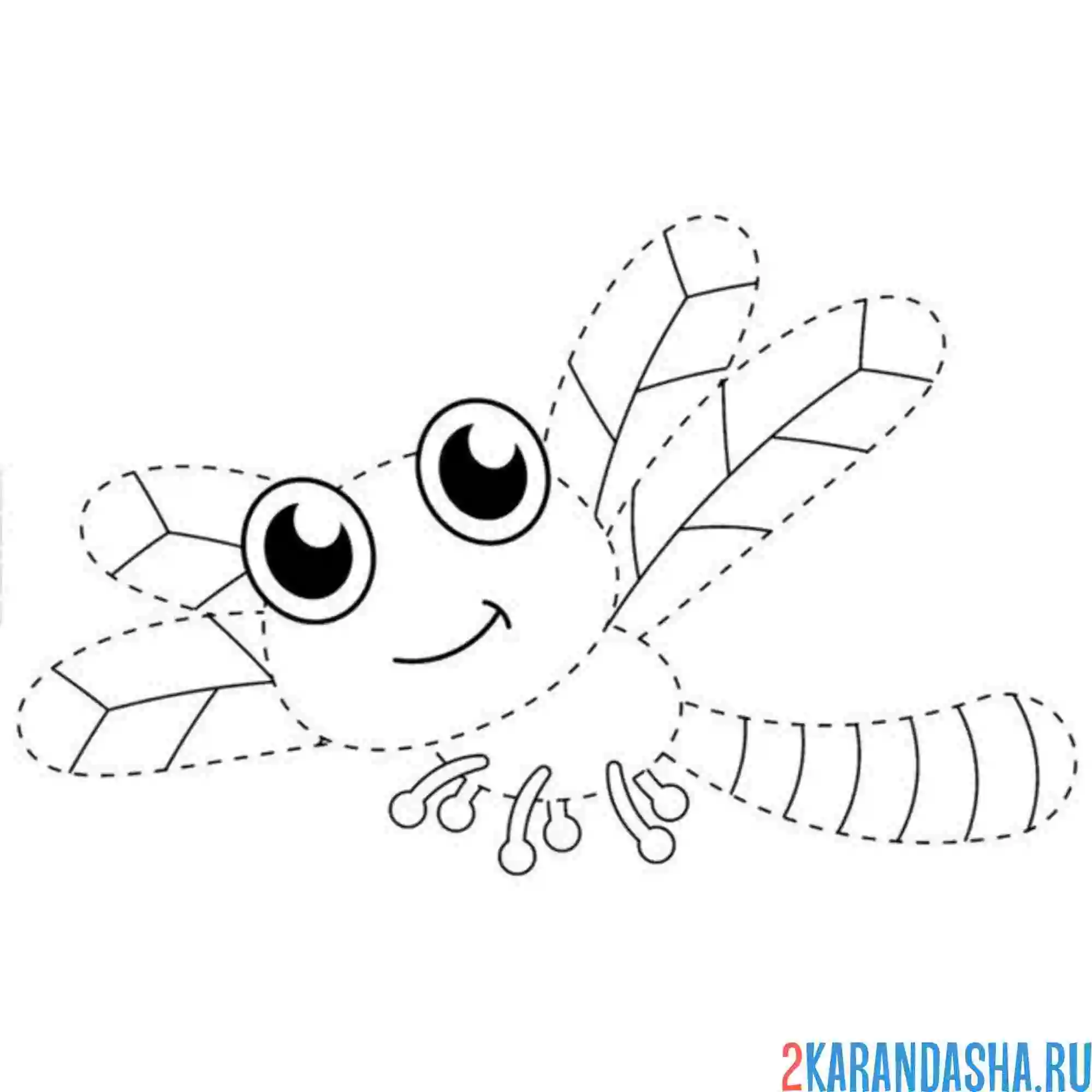 Раскраска обведи стрекозу