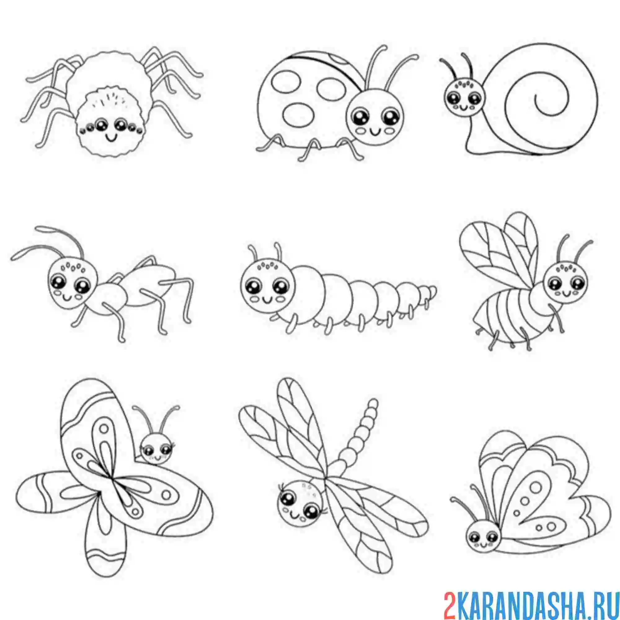Раскраска насекомые