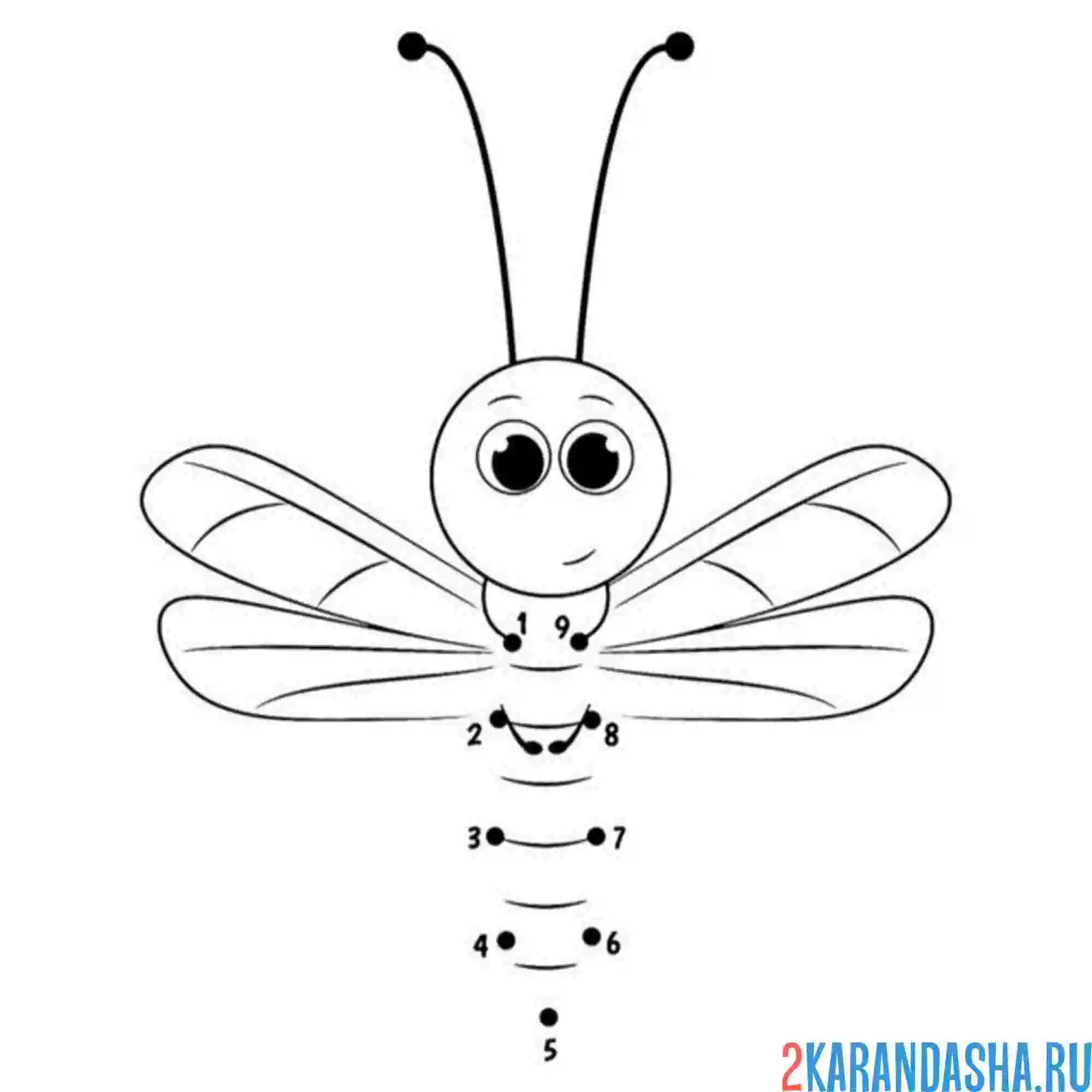 Раскраска стрекоза по номерам