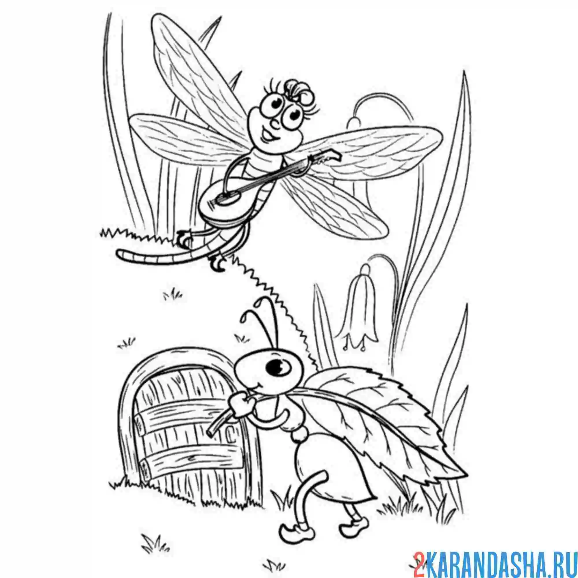 Раскраска стрекоза и муравей