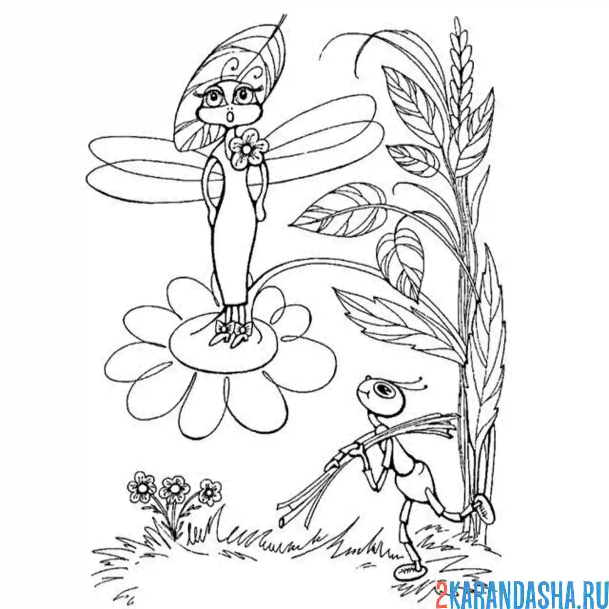 Раскраска стрекоза и муравей иллюстрация