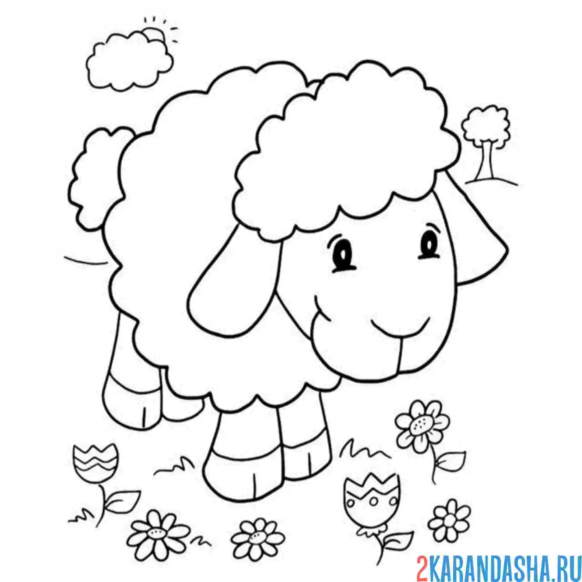 Раскраска барашек и цветы