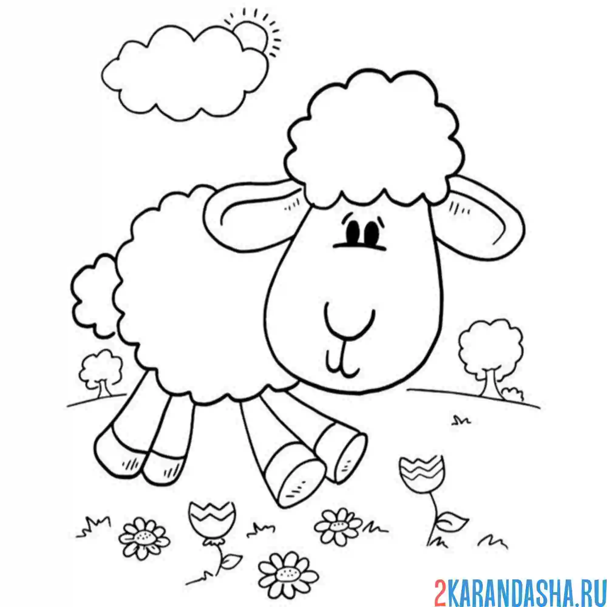 Раскраска барашек гуляет