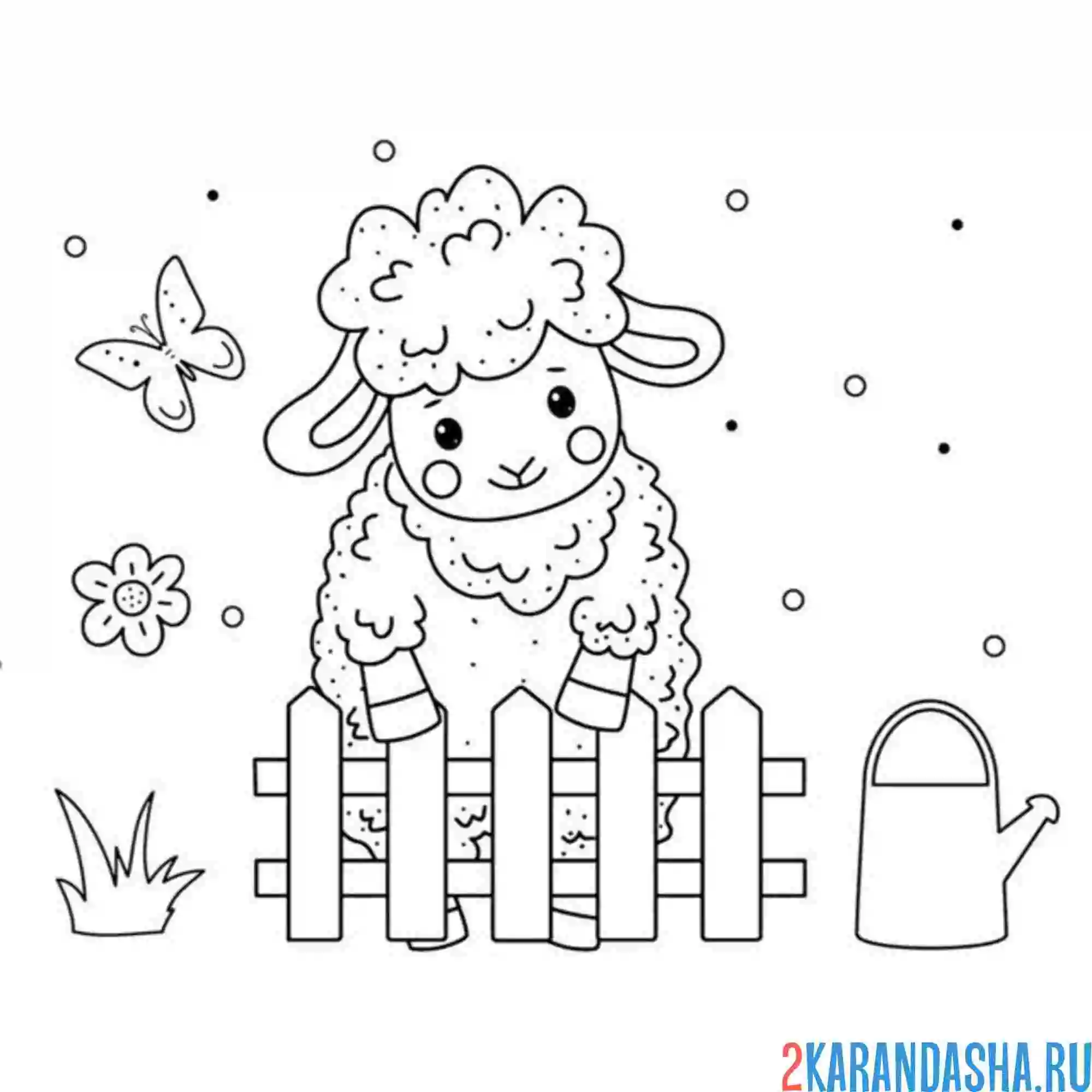 Раскраска барашек за забором