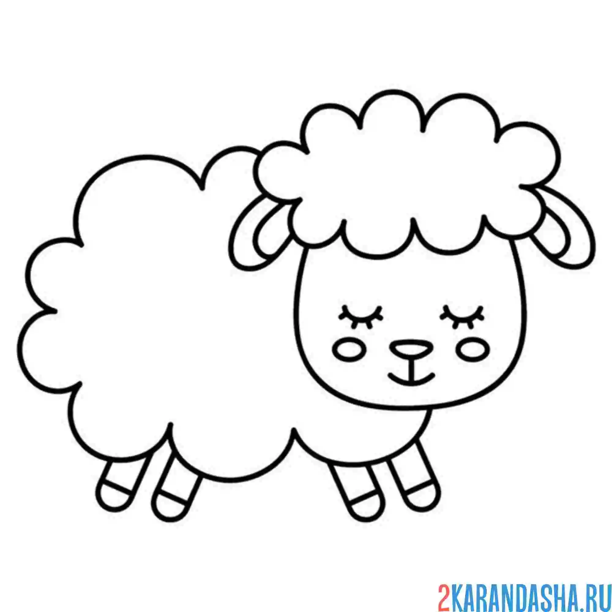 Раскраска барашек спит