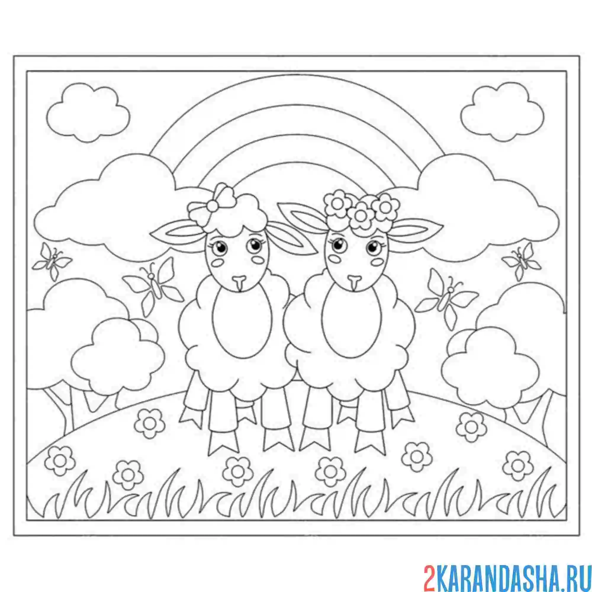 Раскраска овца и овечка